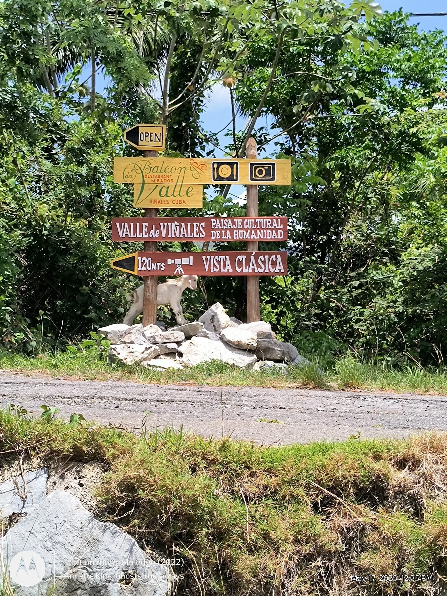 A wooden signpost with multiple signs in a lush green outdoor setting. The signs include an arrow pointing to the left with 'Open', a decorative sign with 'del Balcón', 'restaurante Mirador', and 'Vinales-Cuba', a brown sign with white text 'Valle de