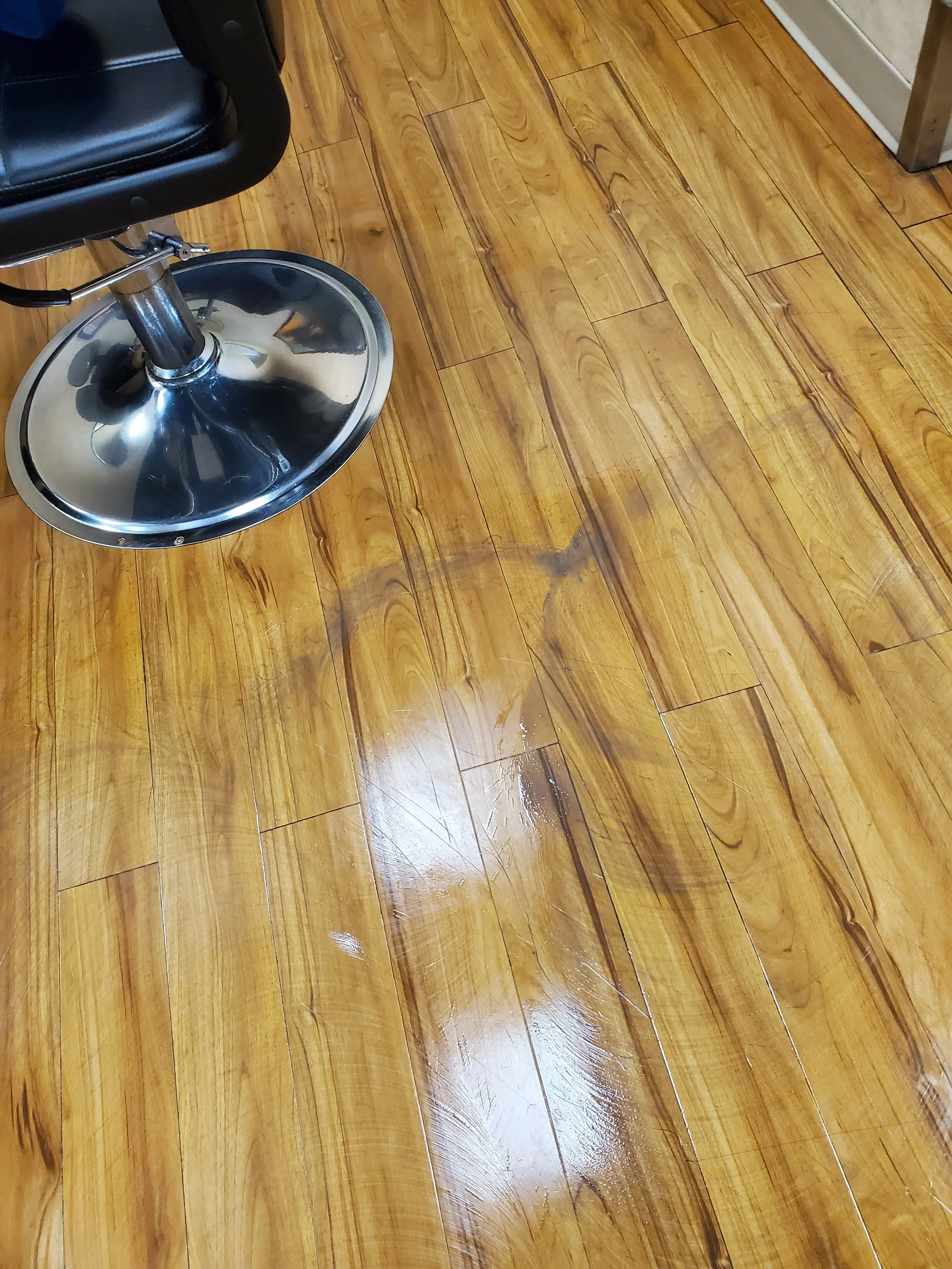 20230728_214841.jpg