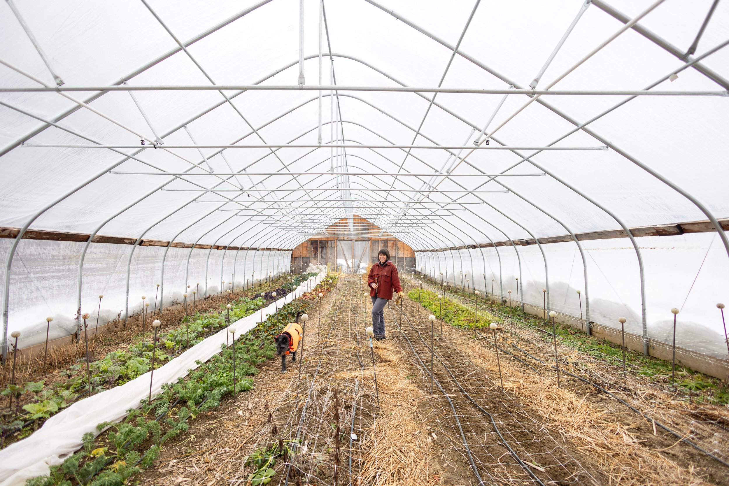 Foxtrot Farm begins seasonal seeding, announces winter craft event