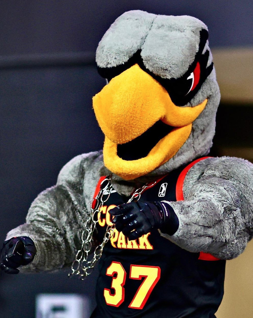 Sky's the Limit: Ryan Schmidt Takes Charge of the College Park Skyhawks