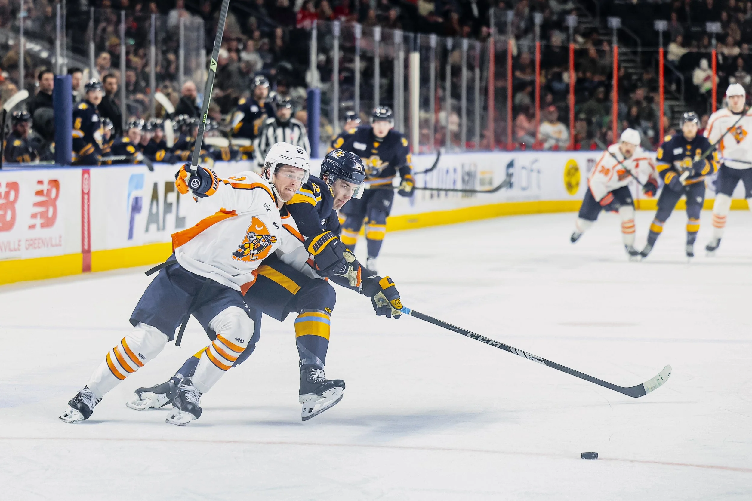 Swamp Rabbits defeat Gladiators 2-1 in series opener