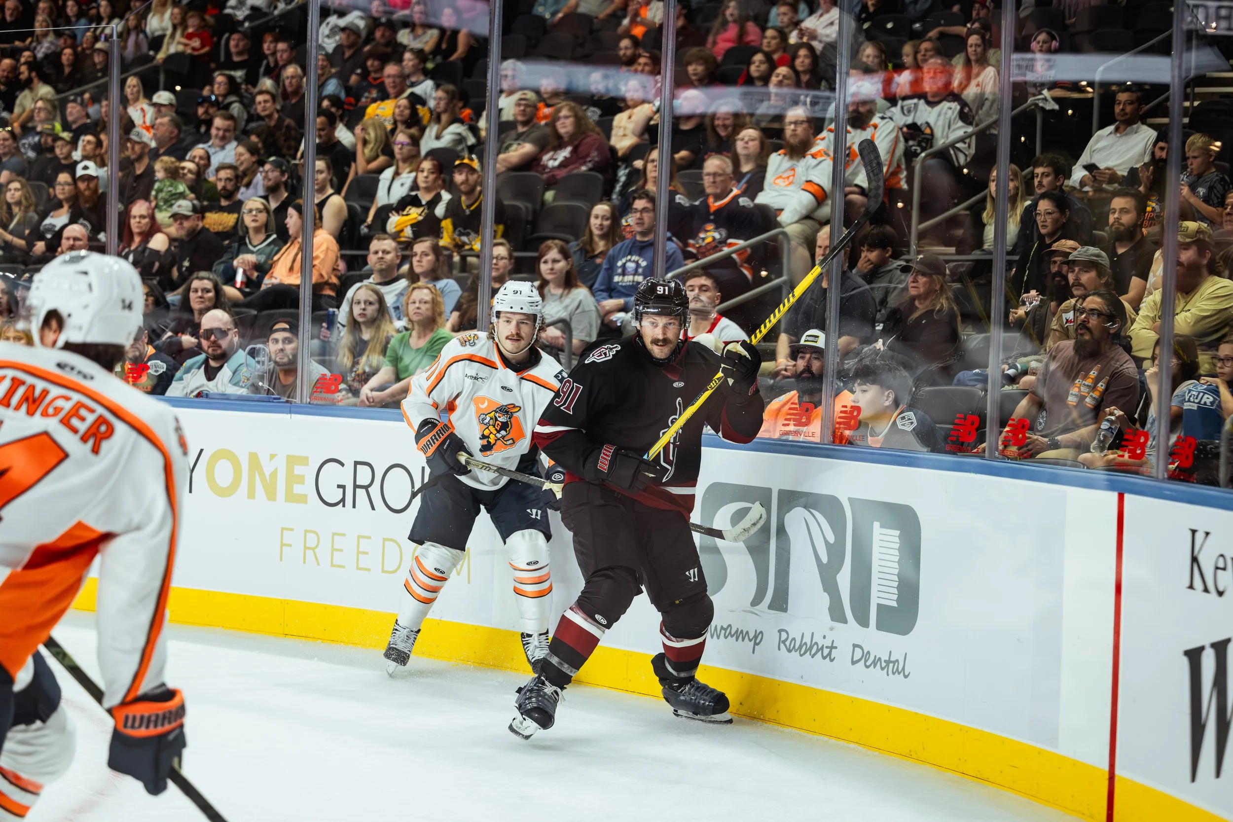 Greenville Swamp Rabbits Open Season With 5-1 Win Over Atlanta Gladiators