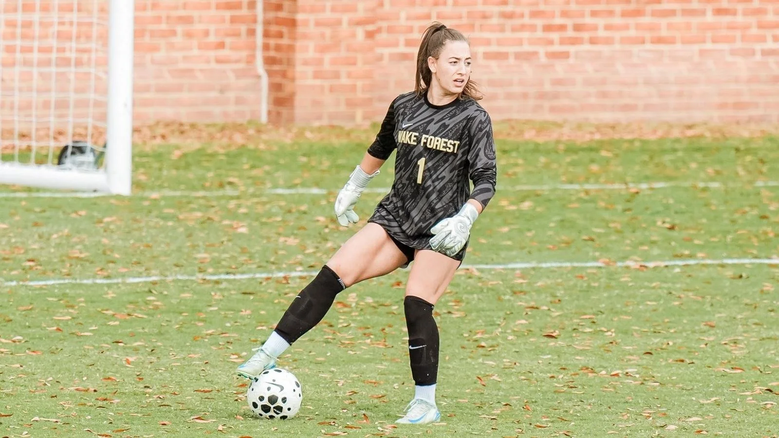 wake forest soccer