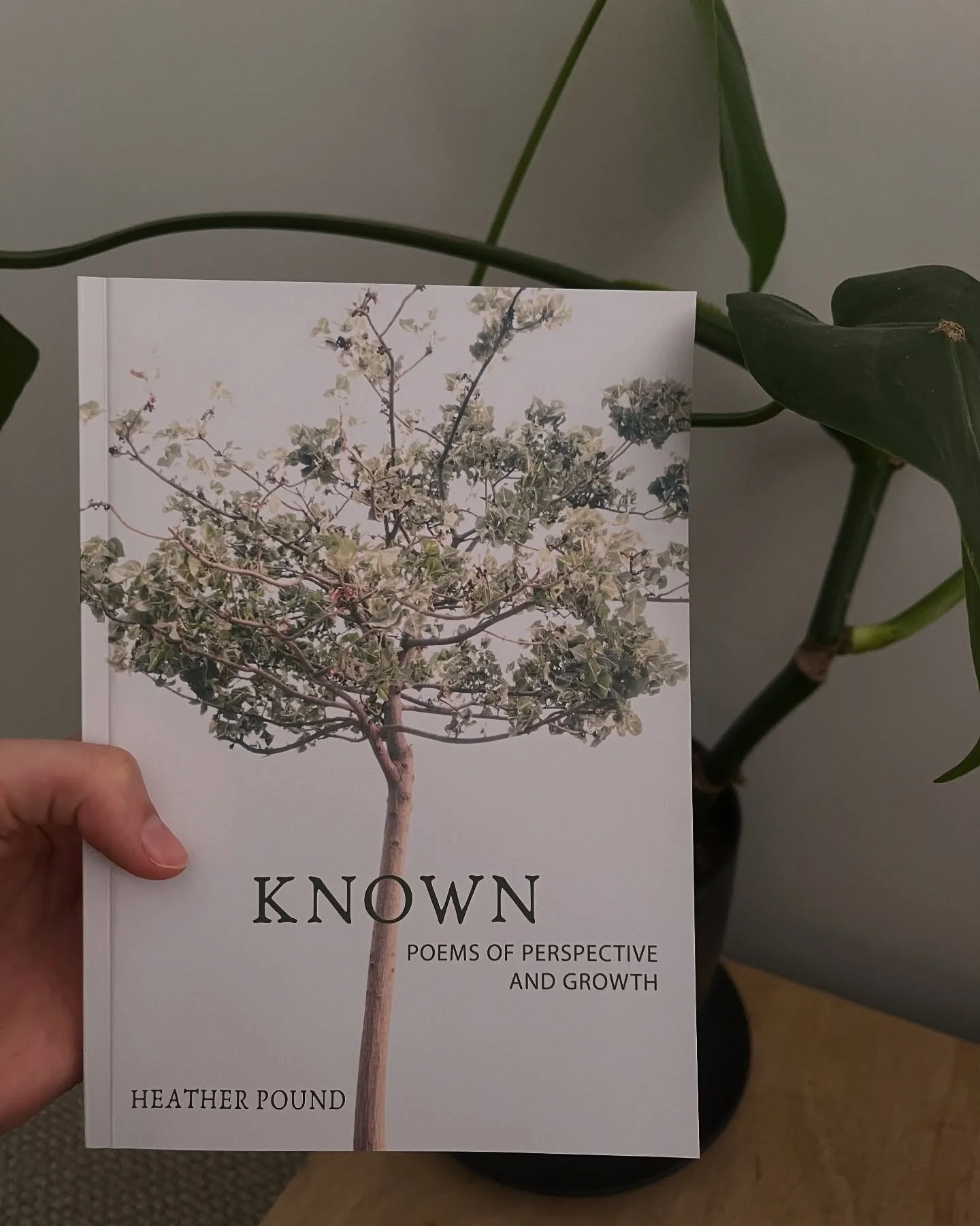 🌟 New Release from Torn Curtain Publishing! 🌟

We are thrilled to announce the launch of KNOWN: Poems of Perspective and Growth by Heather Pound! 📚✨

It has been an absolute privilege to work with Heather on this stunning collection of poetry - an