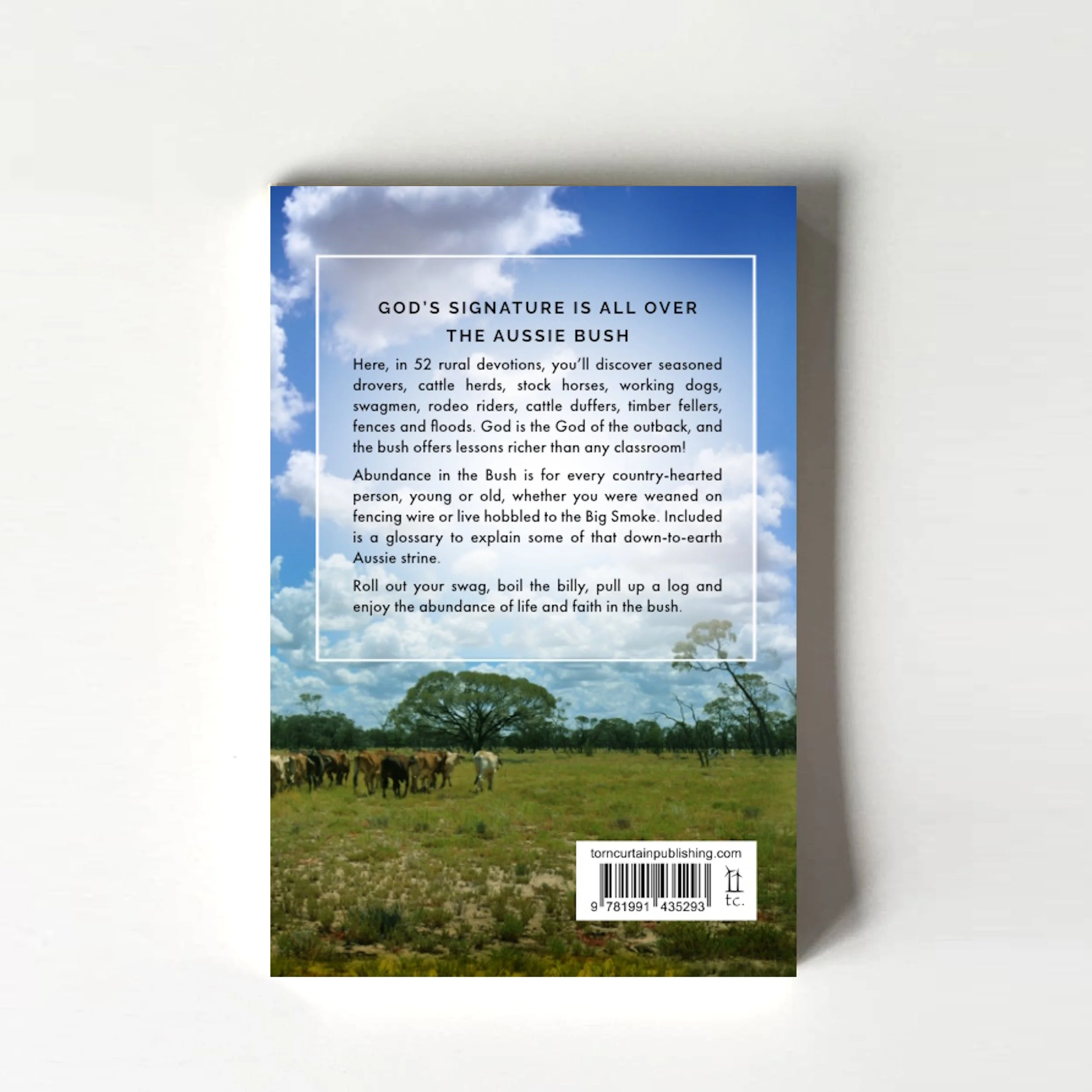 abundance - back.jpg