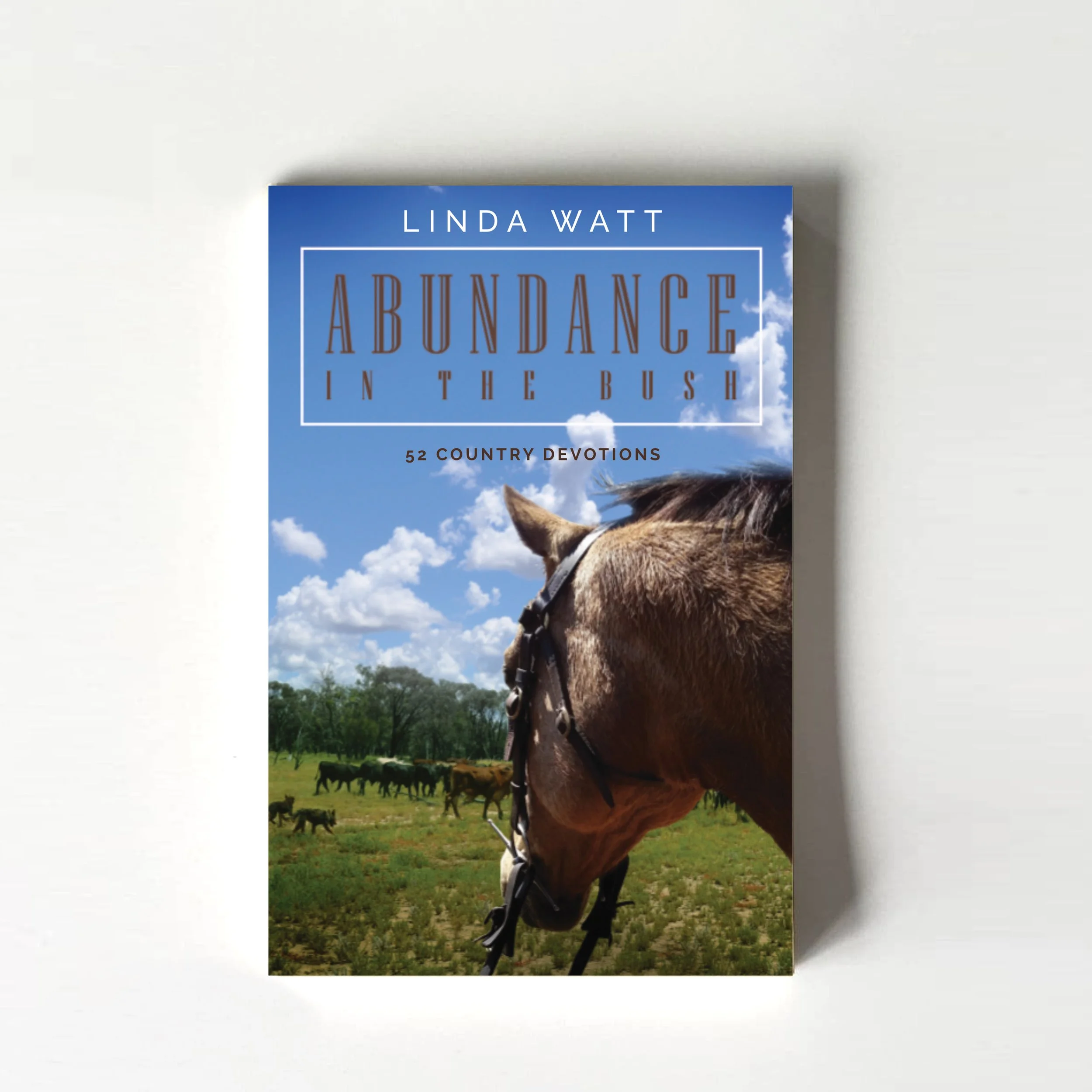 abundance - front.jpg