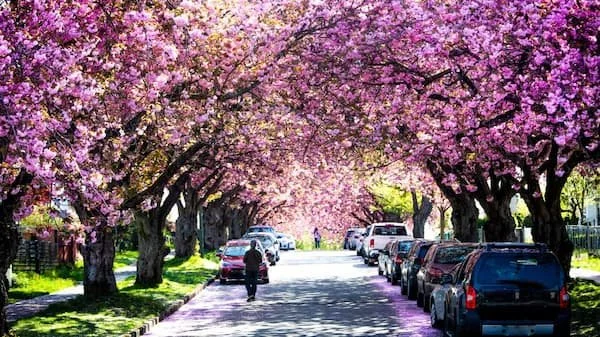 Spring in a Glass: Fresh Arrivals and Seasonal Favorites