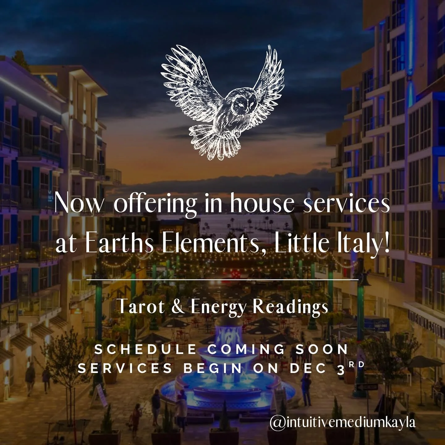 It&rsquo;s been a hot second, friends. I am thrilled to announce that I&rsquo;ll be hopping on board as a resident reader at @earthselements in sunny San Diego! Visit for some guidance, tools, laughs, and fresh pasta at one of the many drool-worthy r