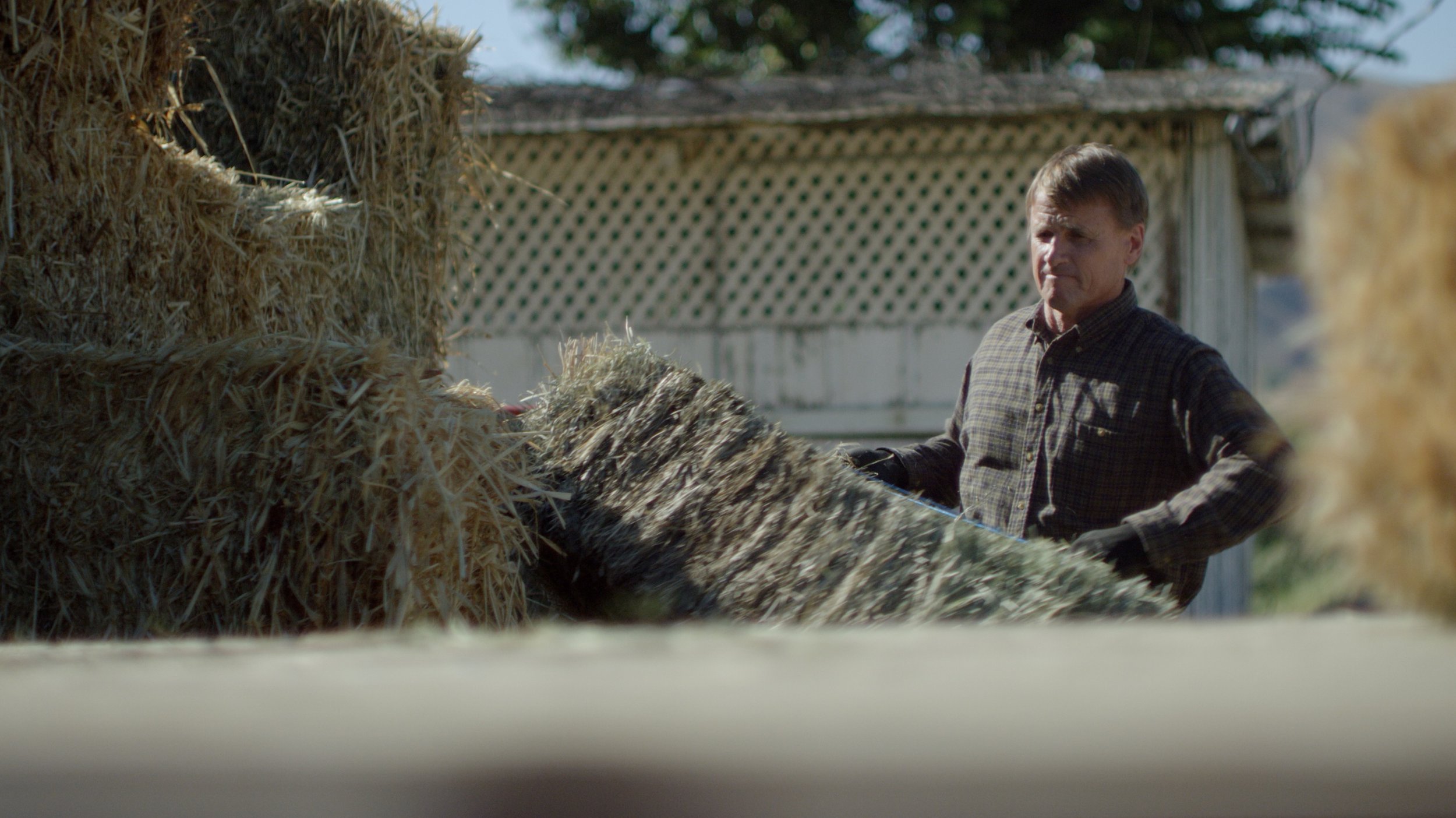 dji-everyday-heroes-spot-10.jpg