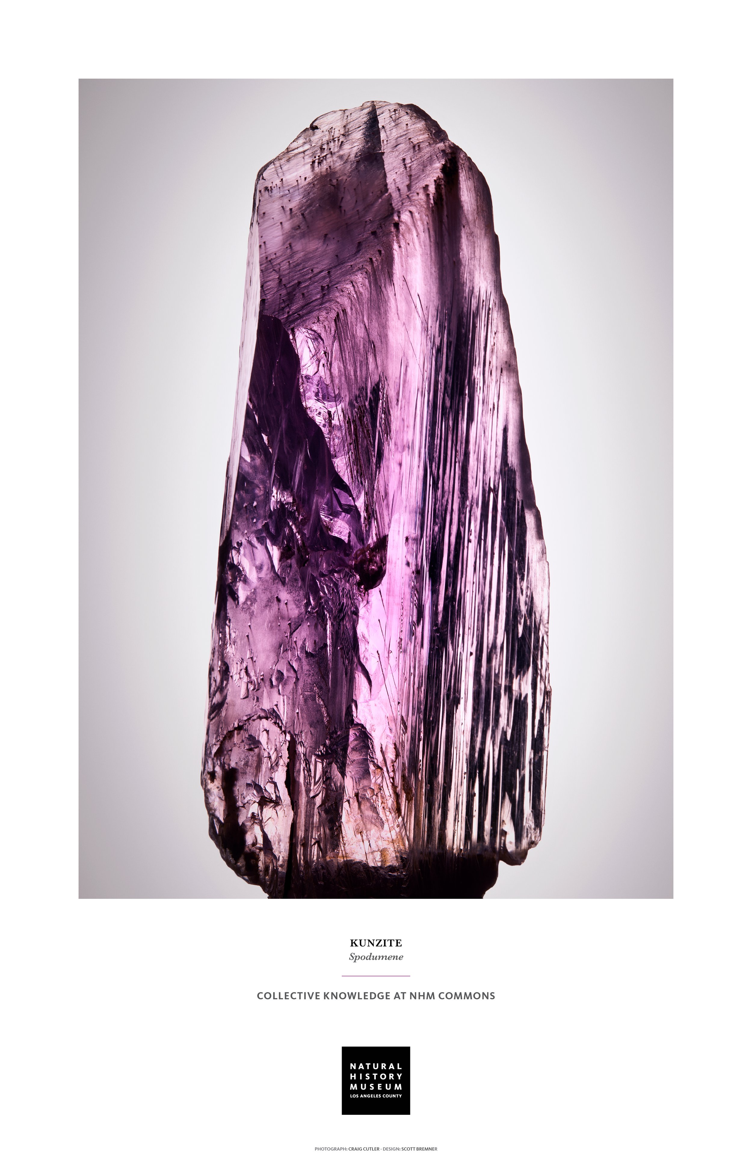 NHM_Poster_11X176.jpg