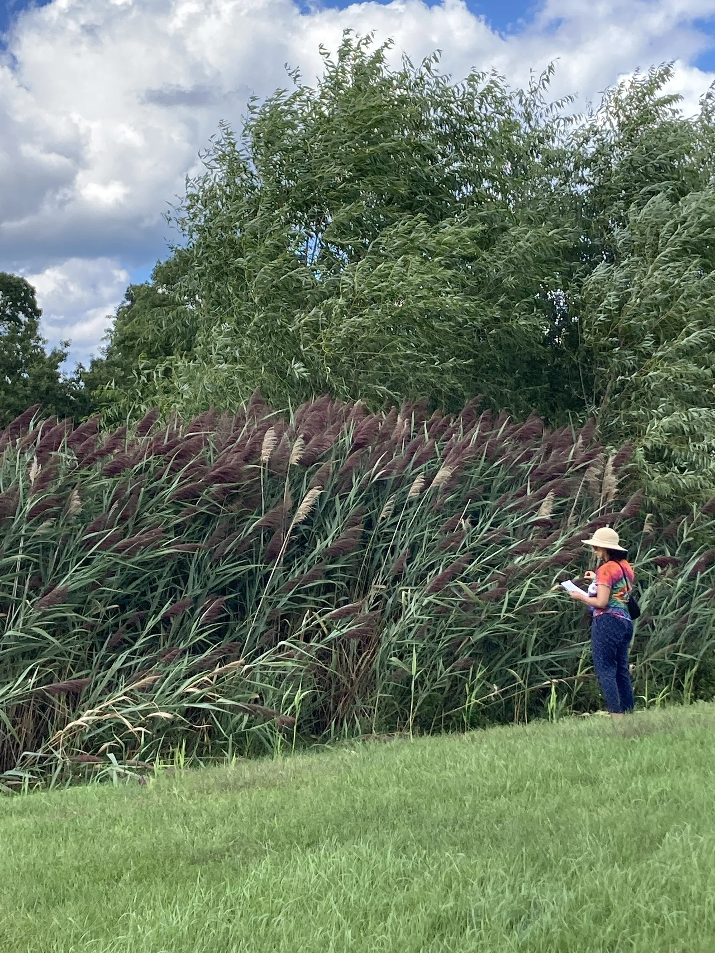 Graveyard Meander, August 24, 2025