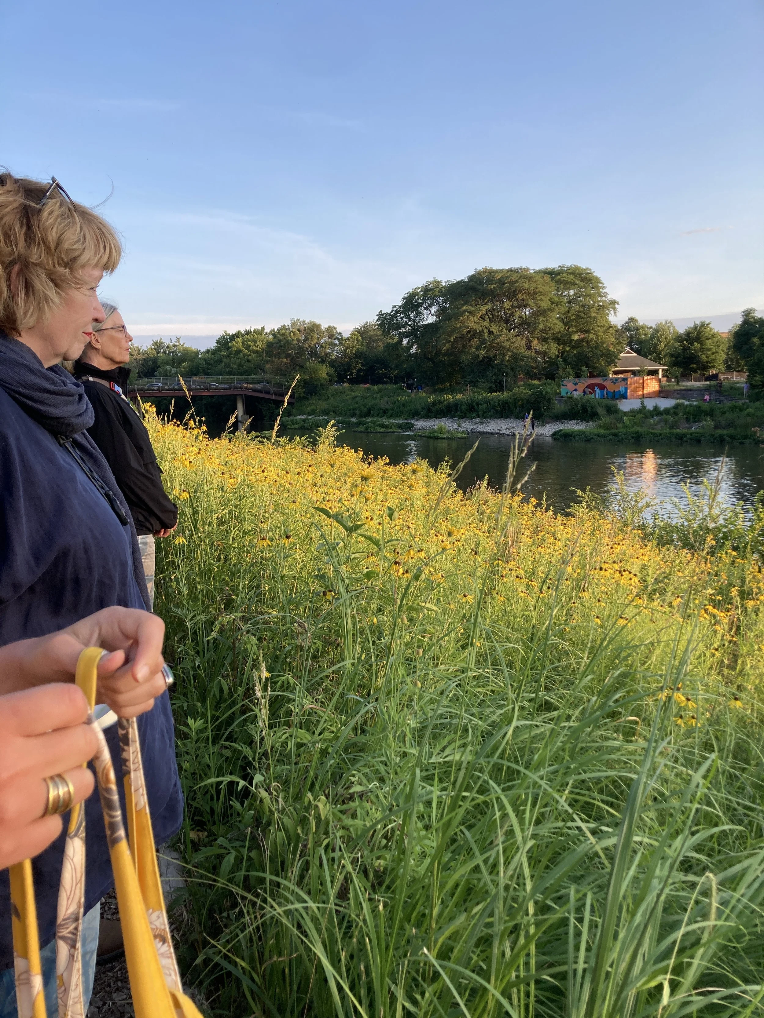 River Park Listening, July 20, 2025