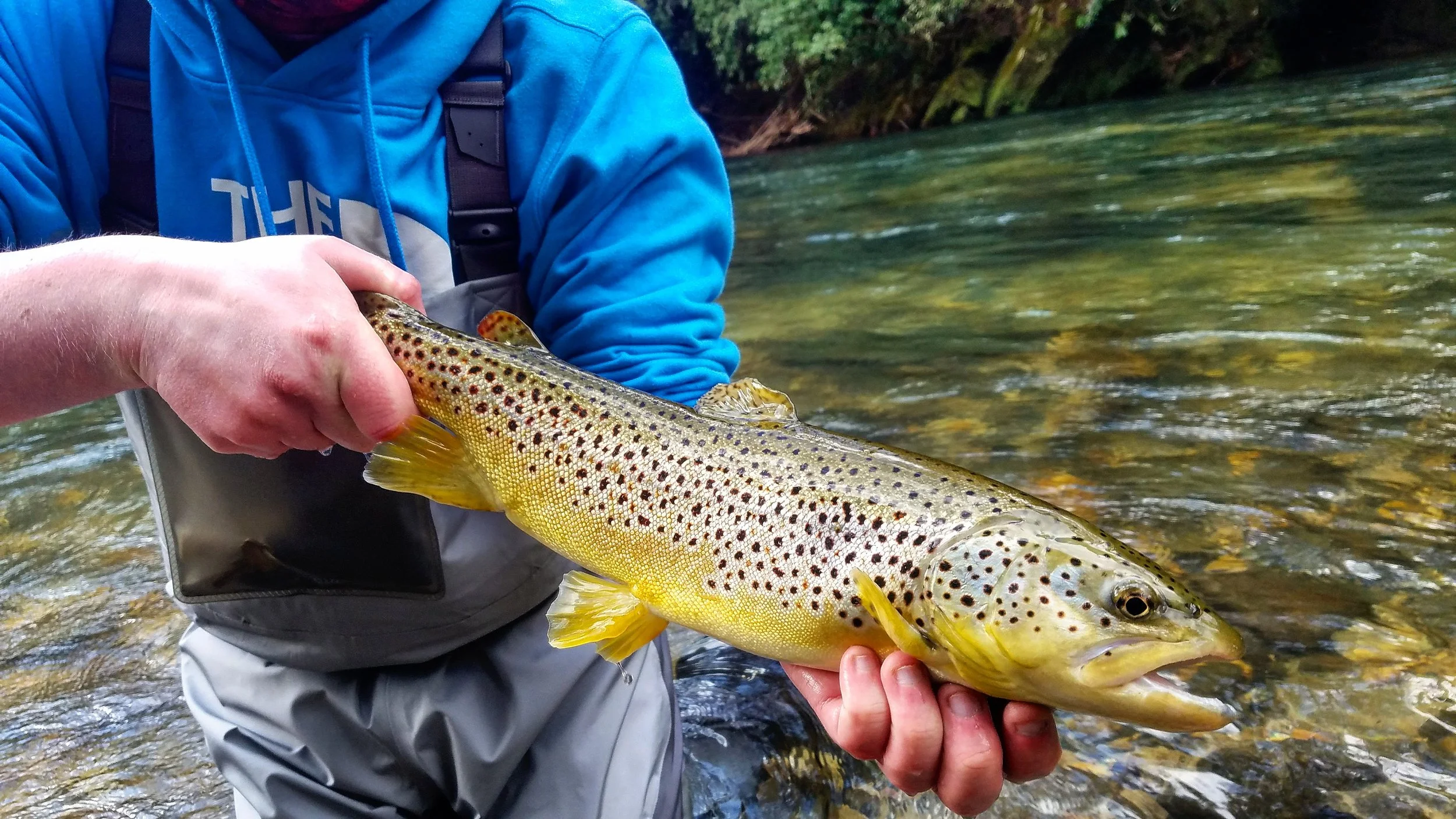 chattooga river fly fishing