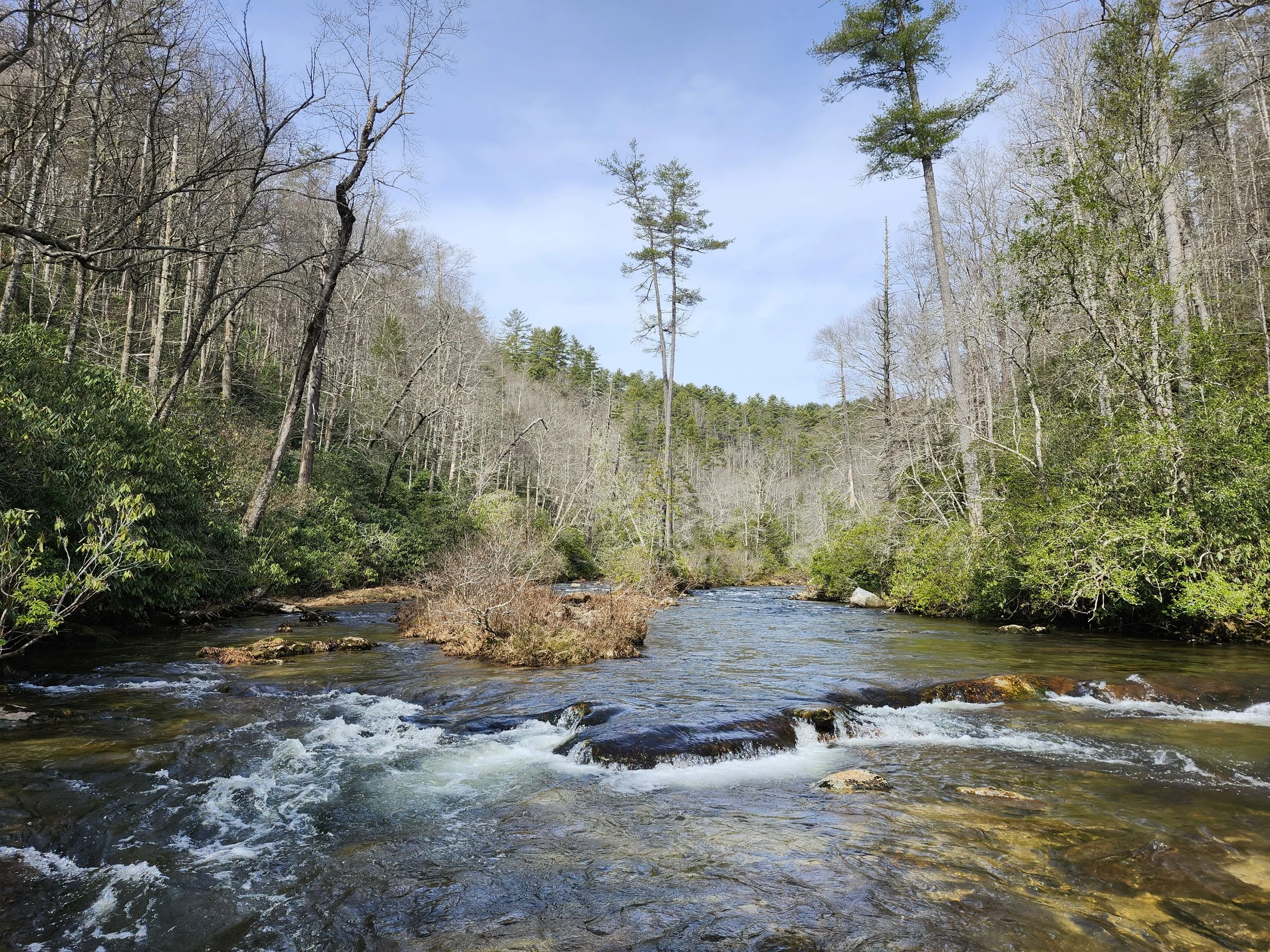 chattooga river fly fishing
