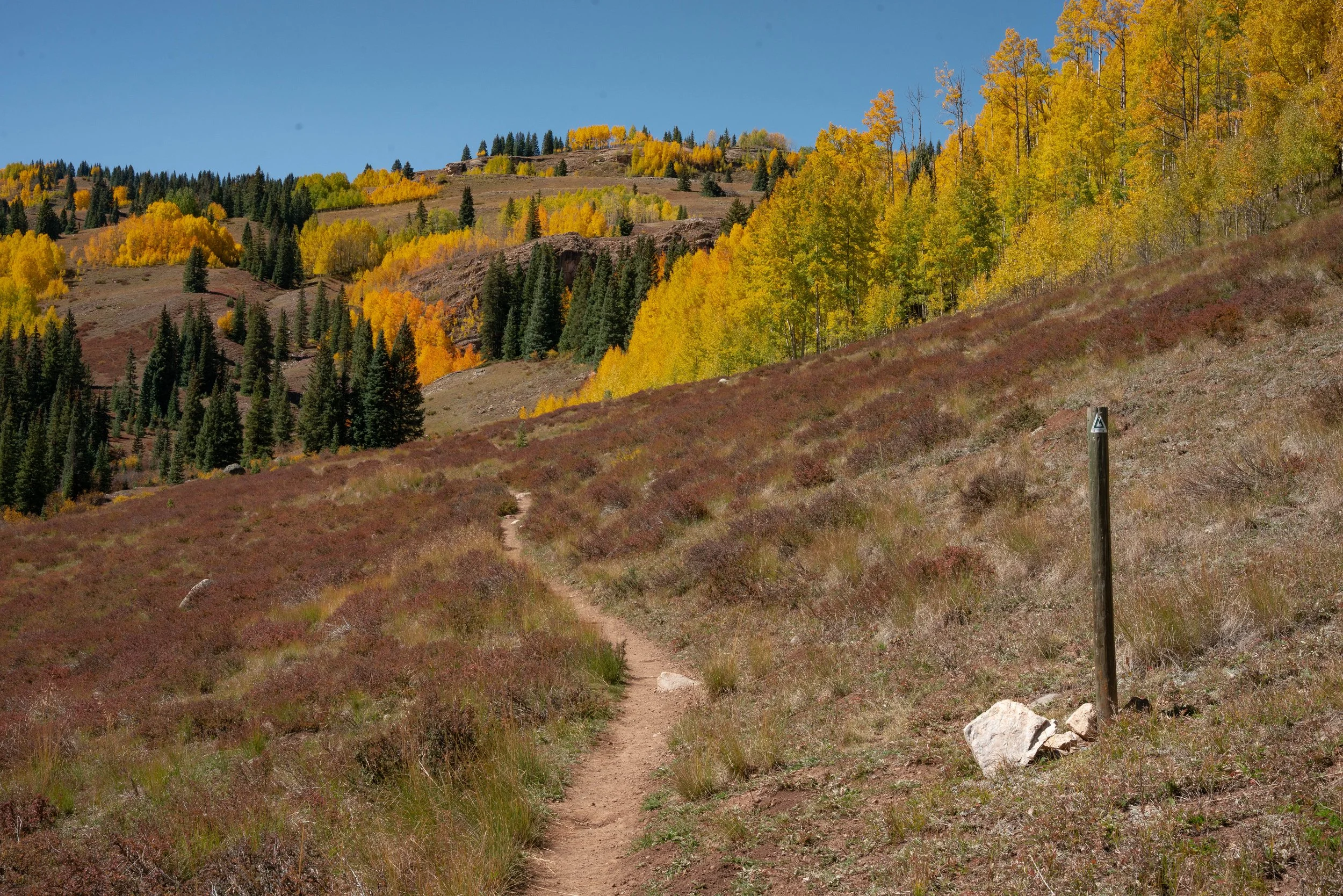 Hybrid Wilderness First Responder (HWFR) - Durango, CO
