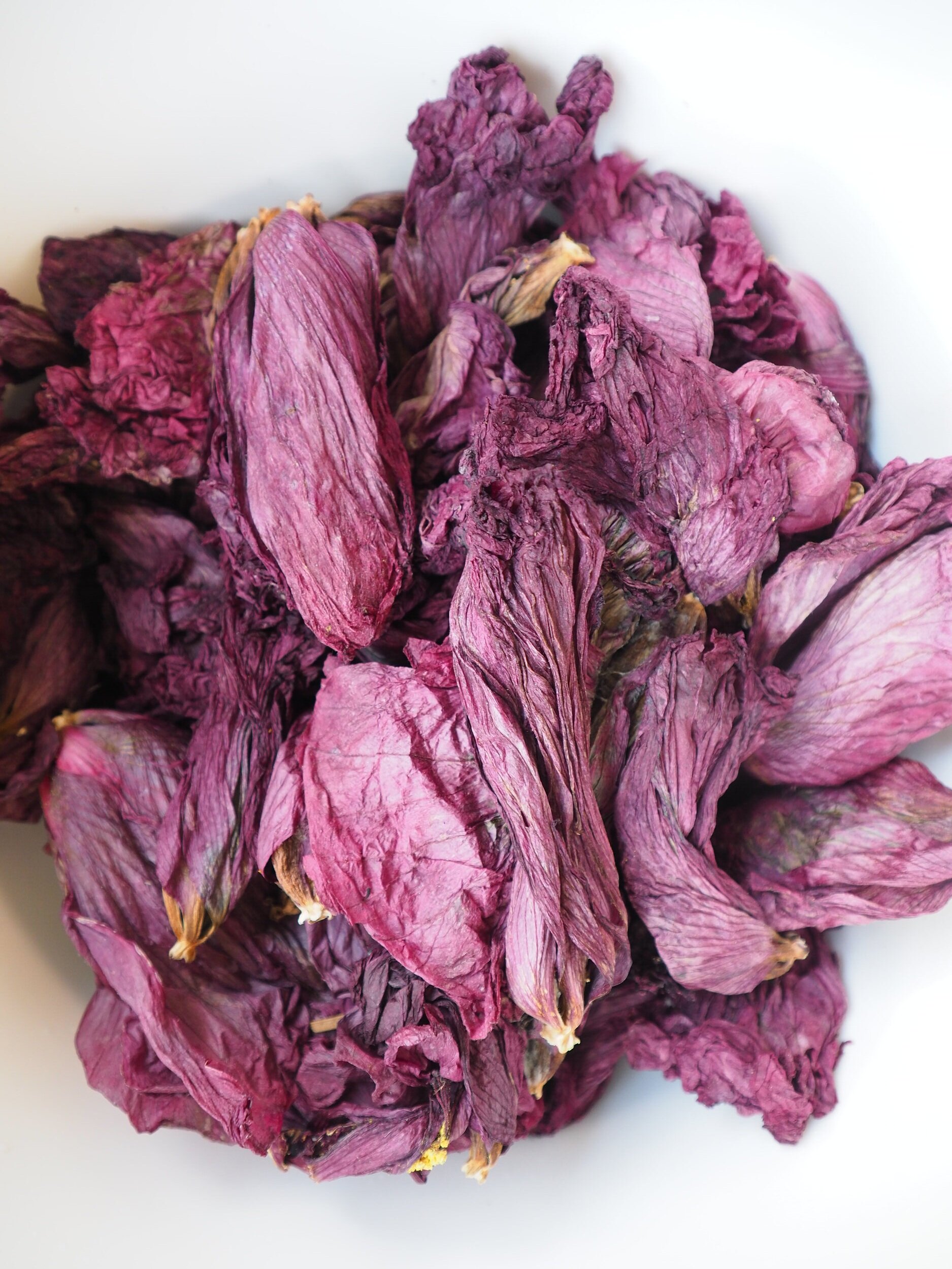 Dried Hardy Hibiscus Flowers