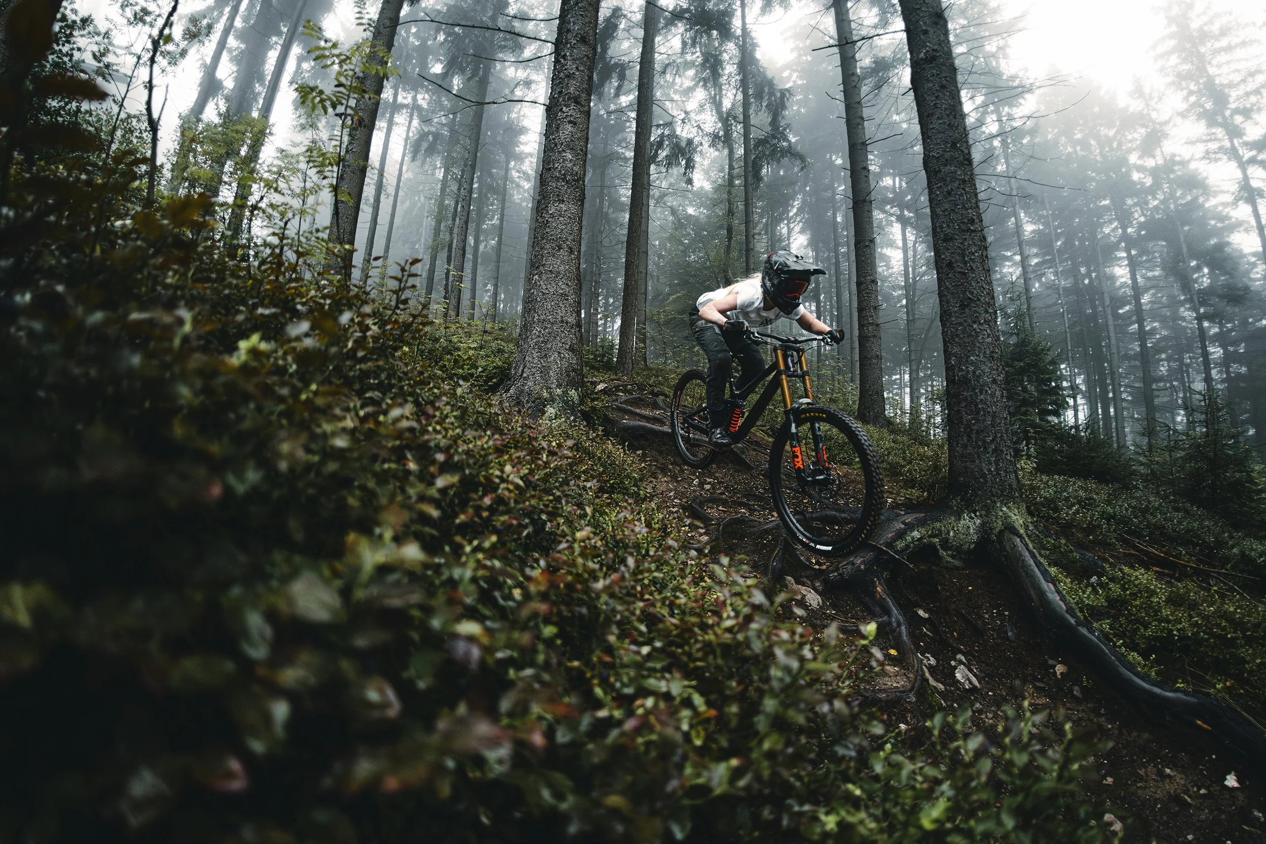 _W__7188-Enhanced-NR copy.jpg