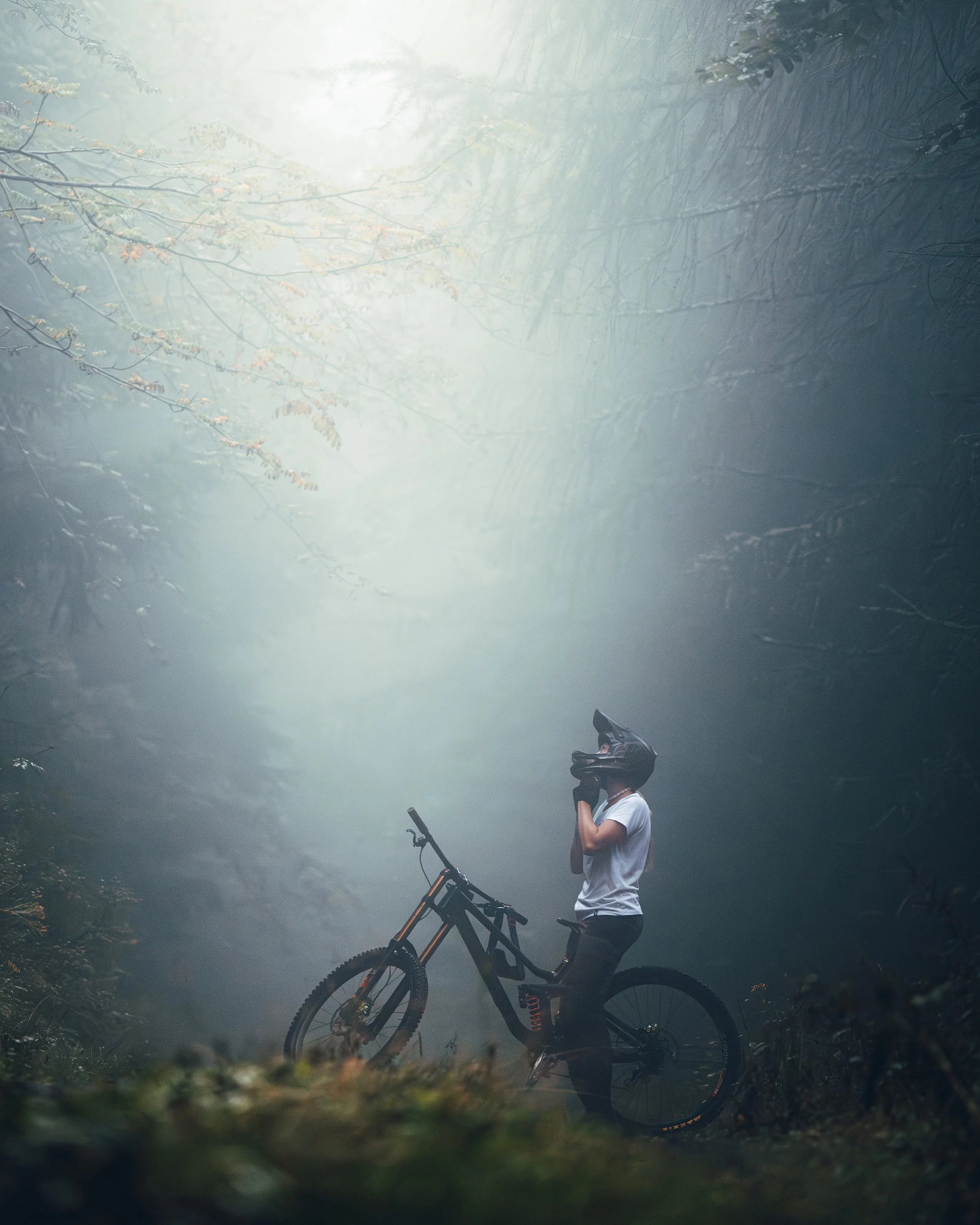 _W__6736-Enhanced-NR copy 2.jpg