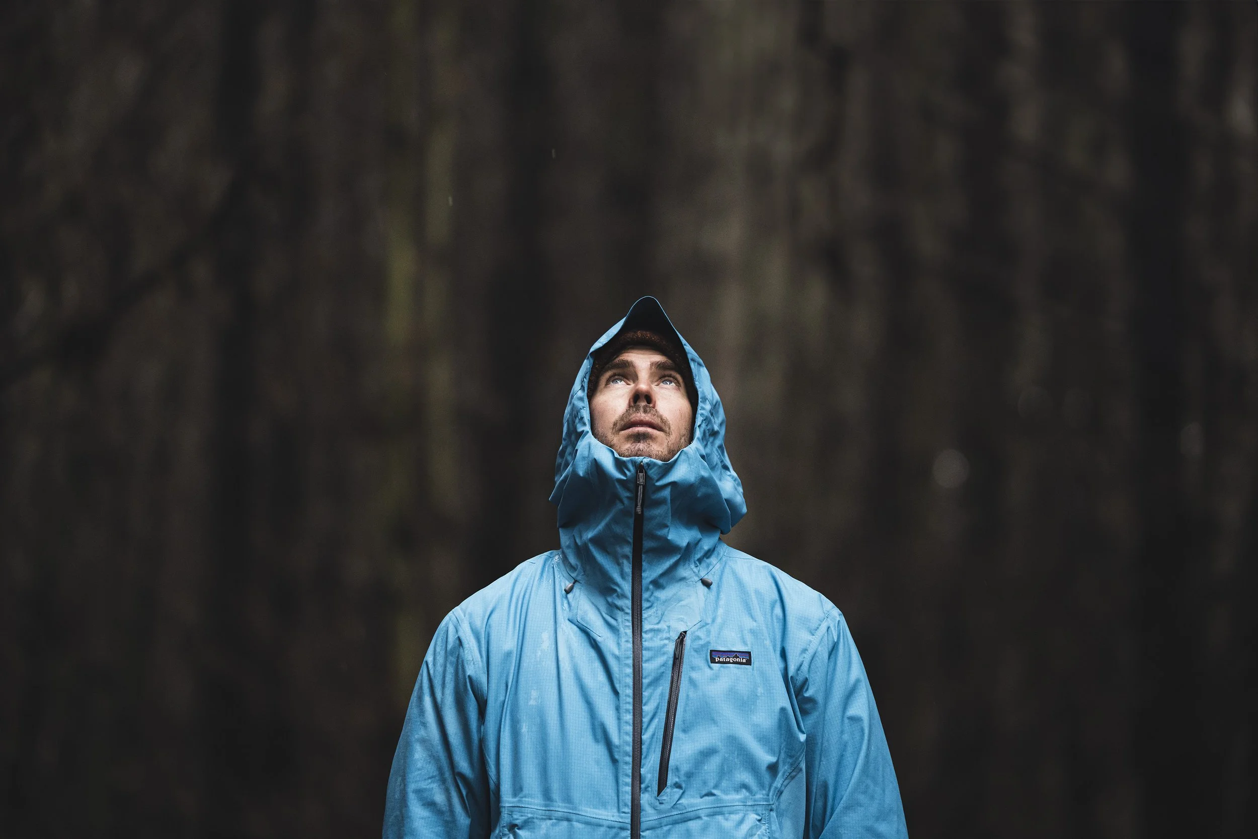 Man wearing a blue waterproof jacket with the hood up, looking up with a serious expression in a dark forest.