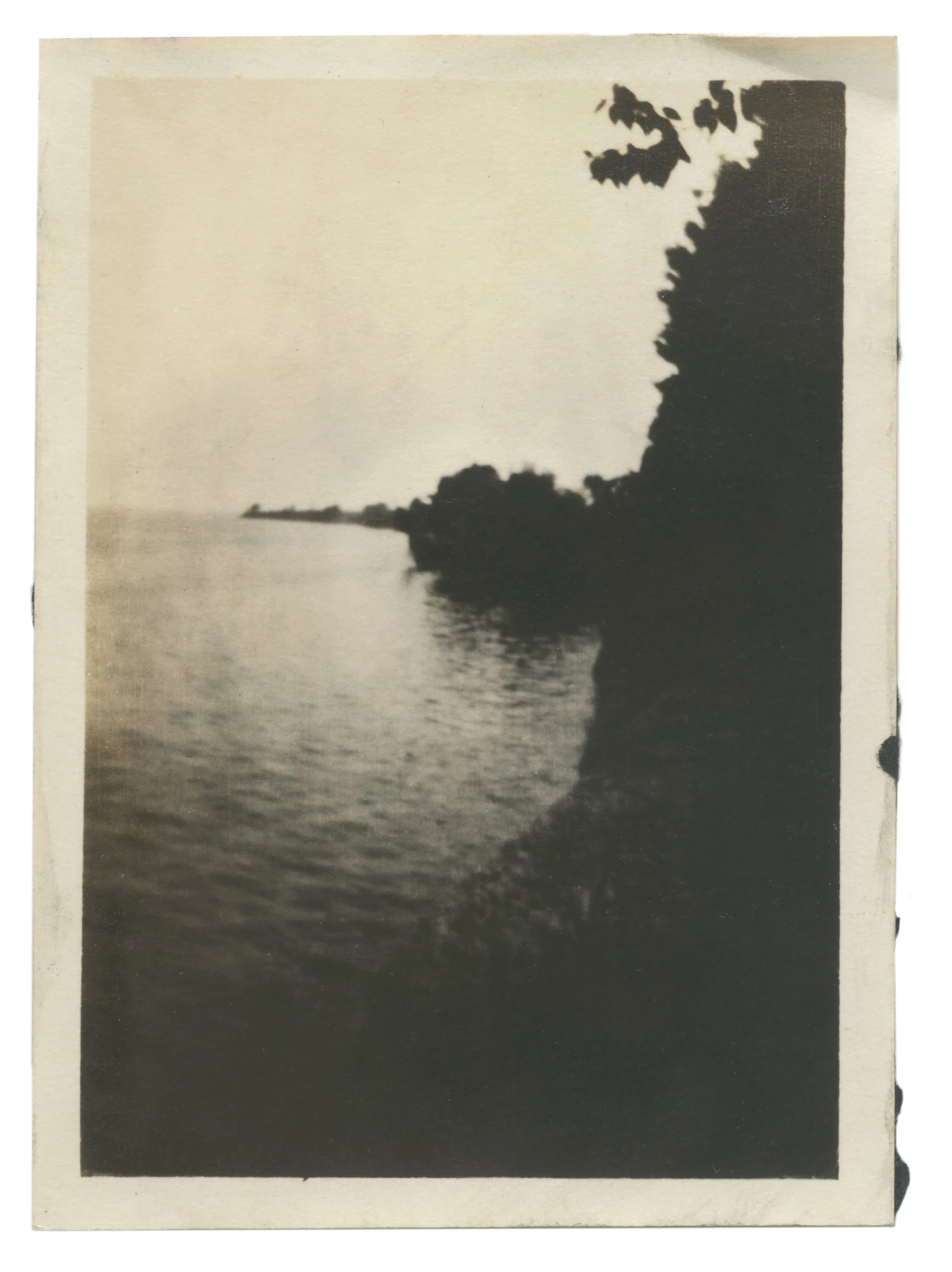 Lizzie Vaughan—Collected Landscapes