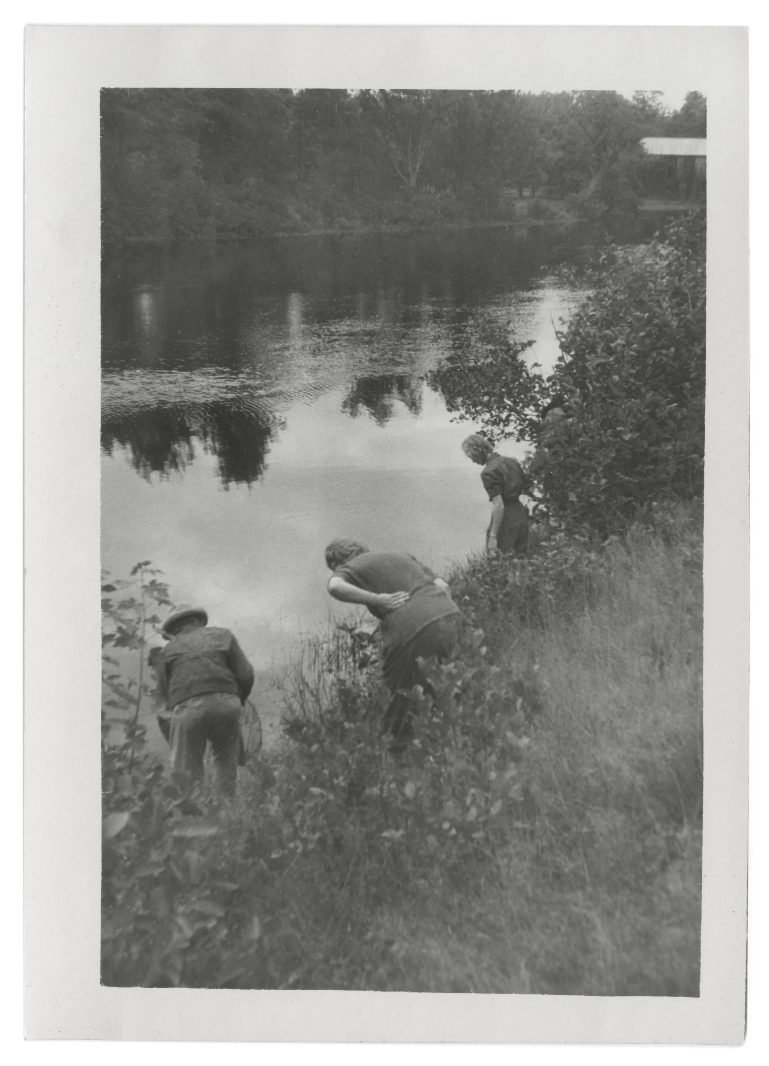 Lizzie Vaughan—Collected Landscapes