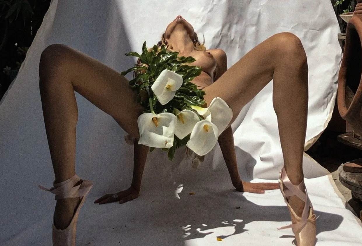 lilies2.jpg