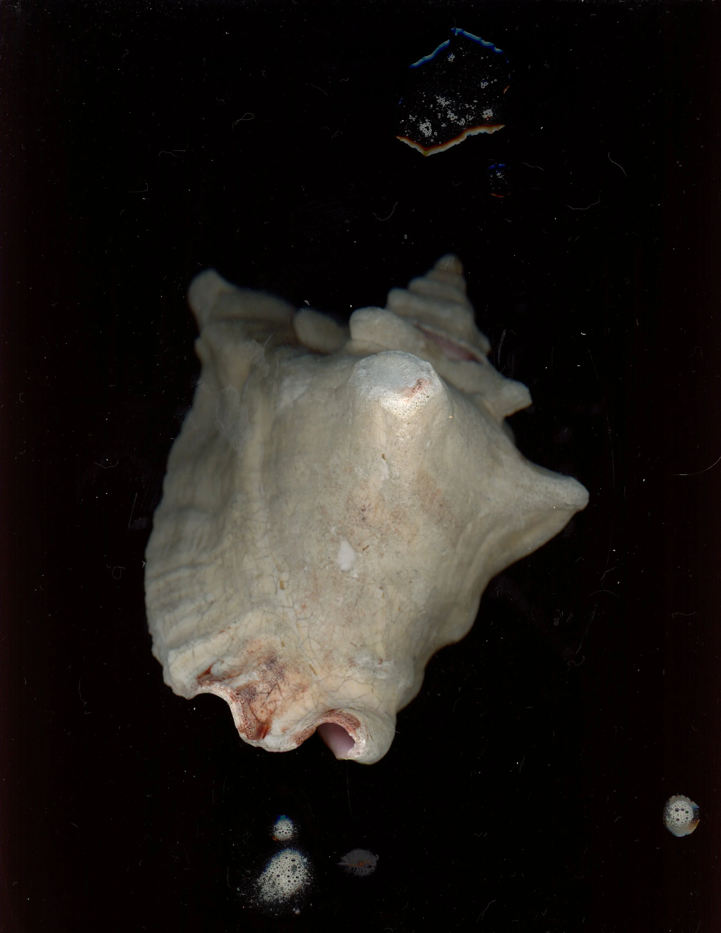 img20251204_09472080.jpg