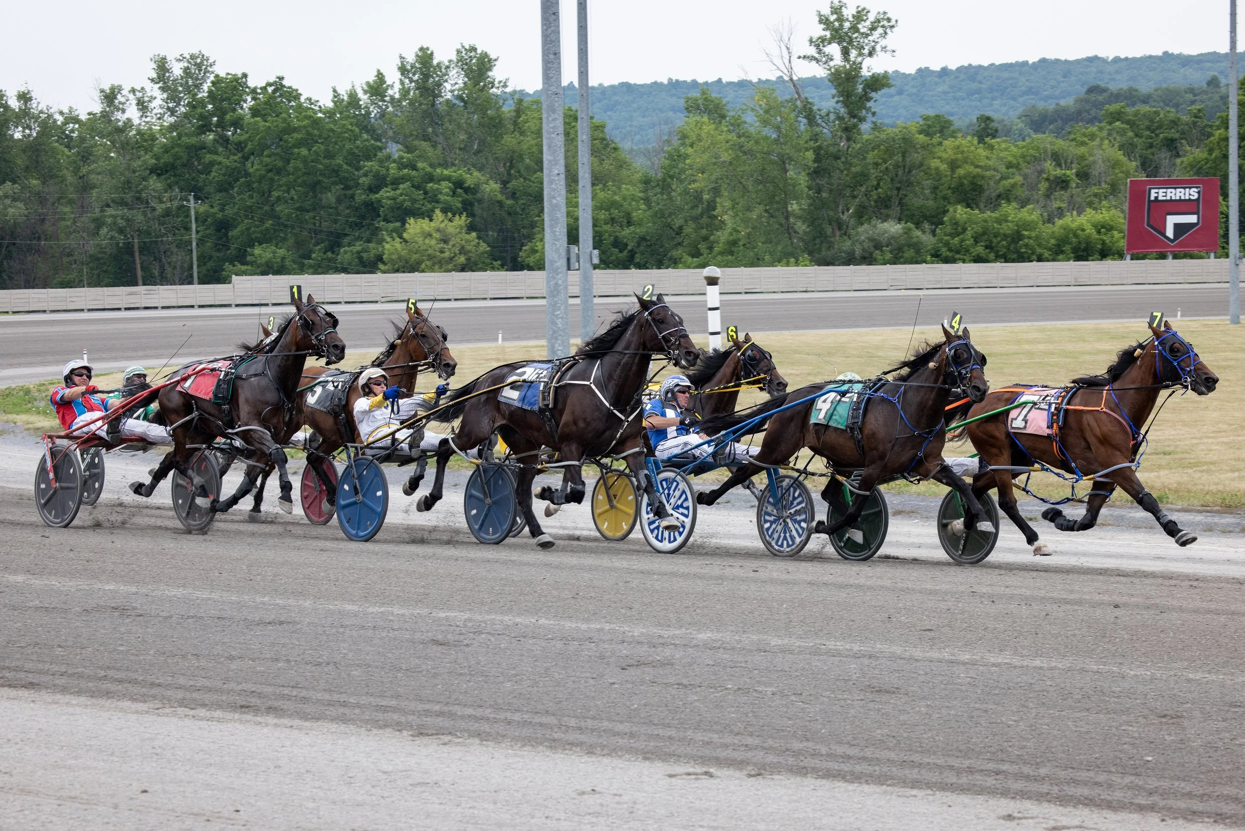 Tioga Downs