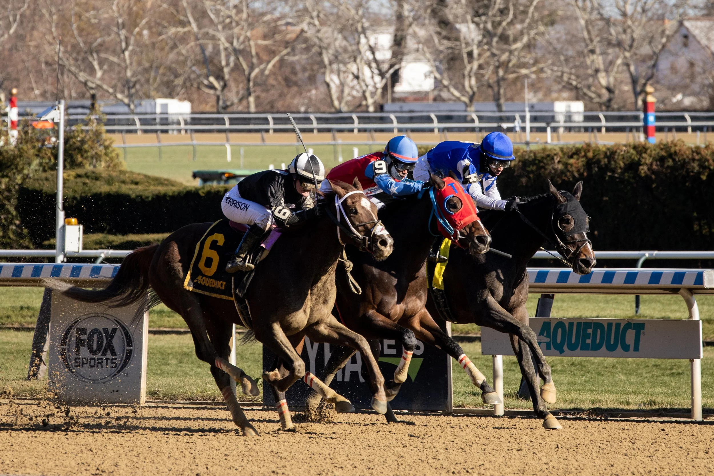 Photo finish between Grape Therapy, Inouaintalkintome and Love's Misery at Aqueduct, December 2021