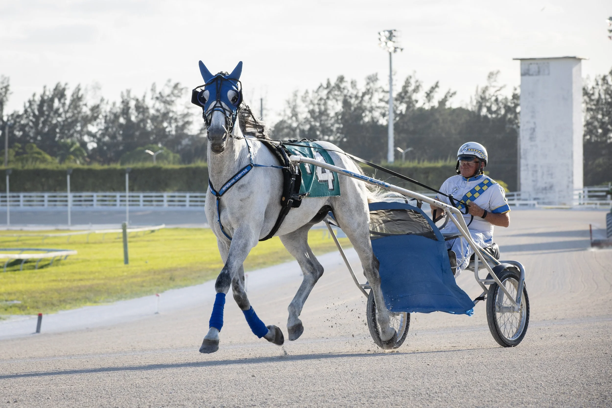Maui Hanover and John Hallett