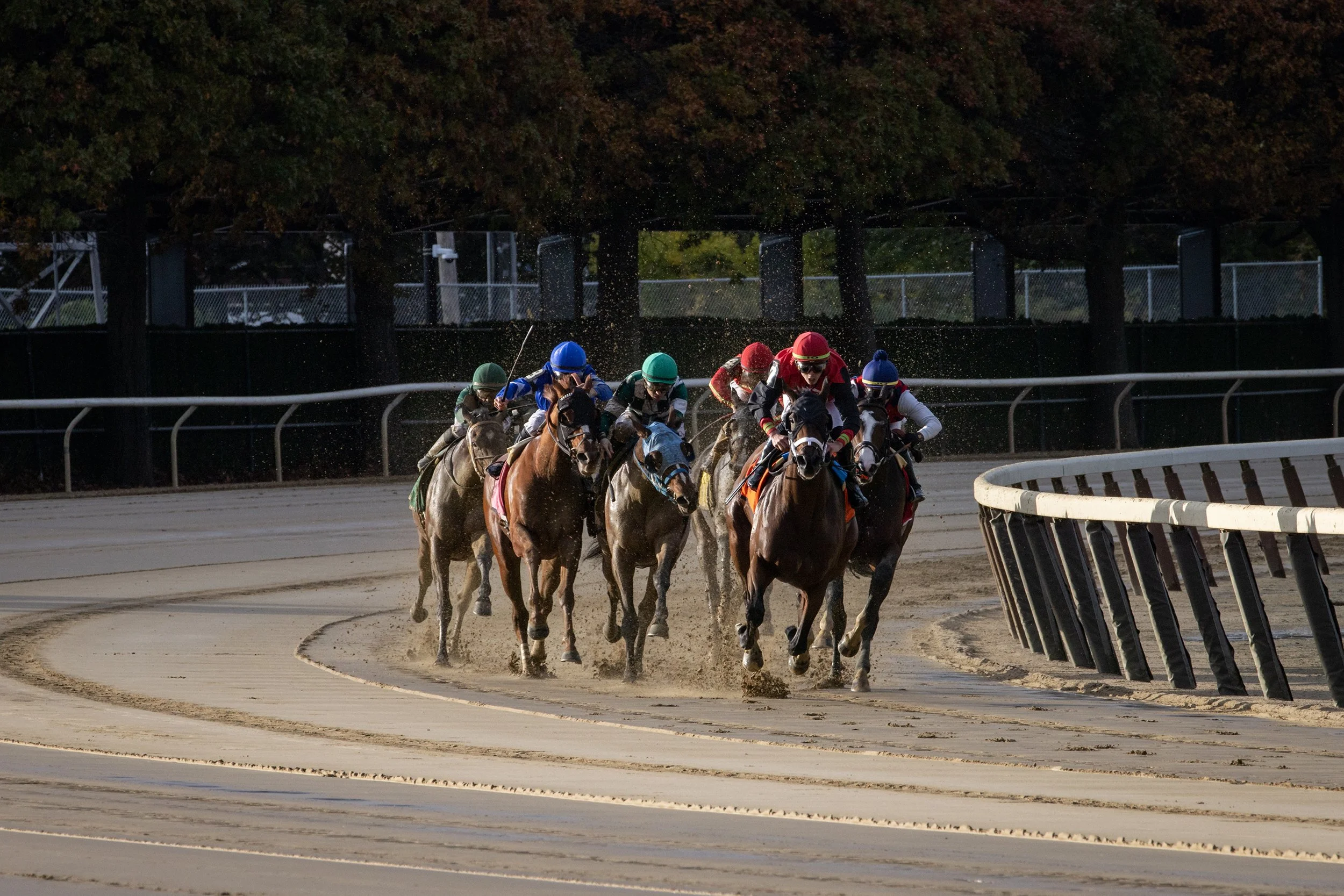 Lady Rocket and Irad Ortiz leading the field in the Pumpkin Pie Stakes, October 2021
