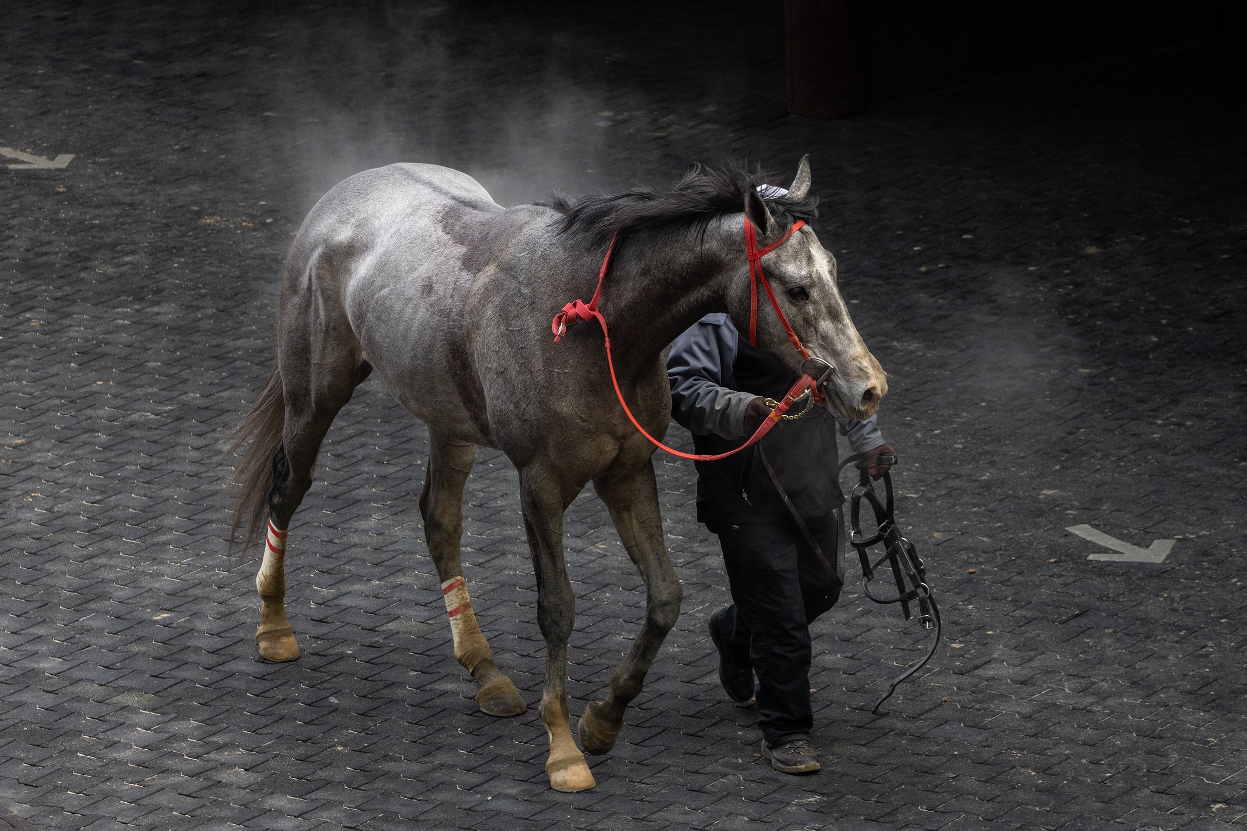 Aqueduct, January 2022