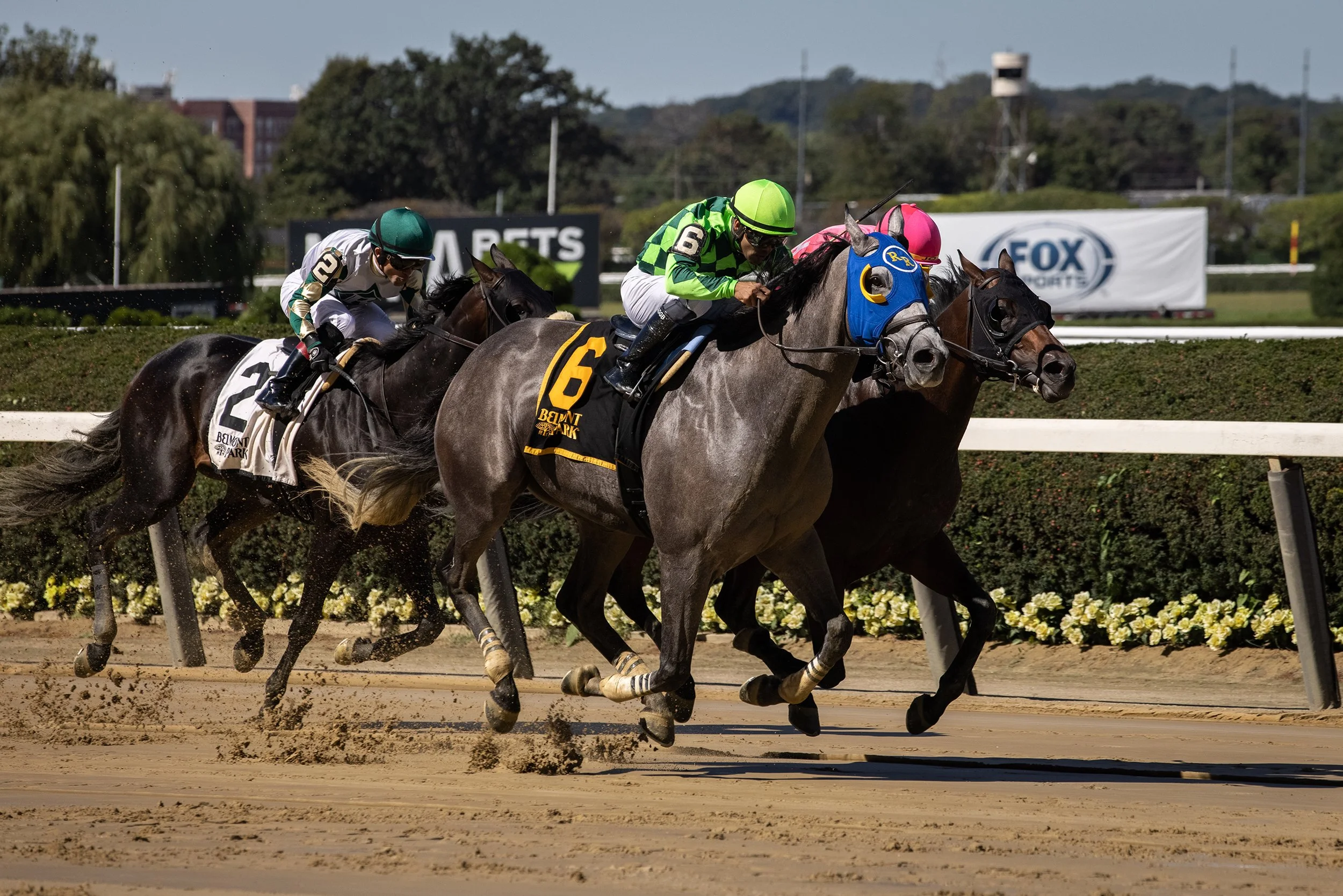 Tiergan and Luis Saez winning the Ashley T. Cole Stakes, September 2021