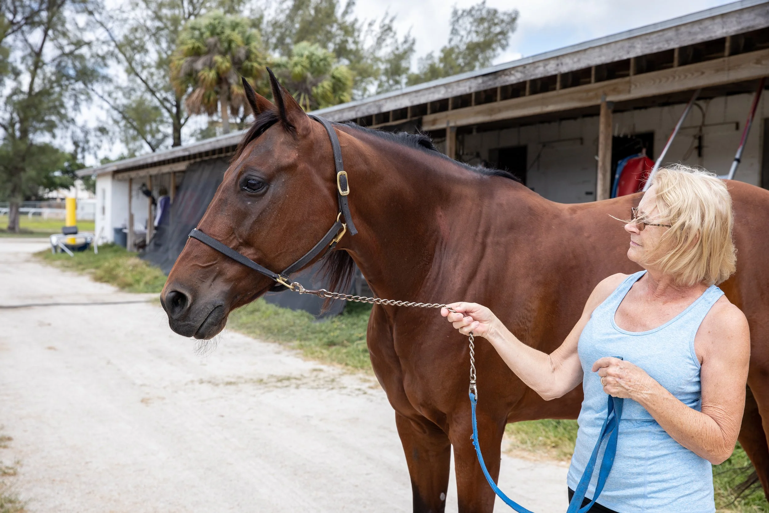 Pompano Park track record holder Panocchio