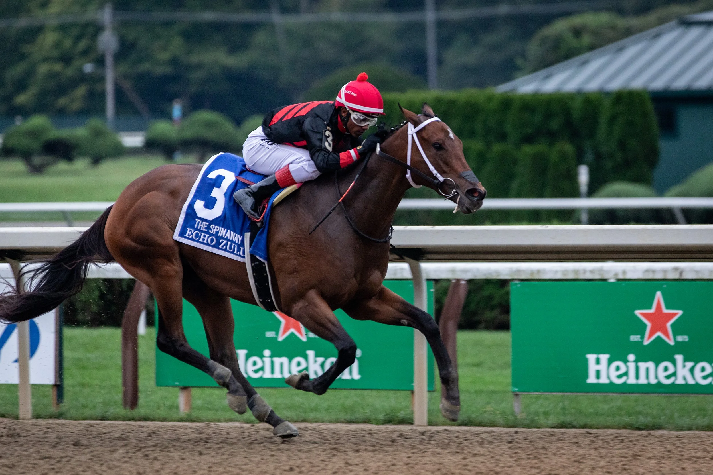 Echo Zulu winning the Spinaway, 2021