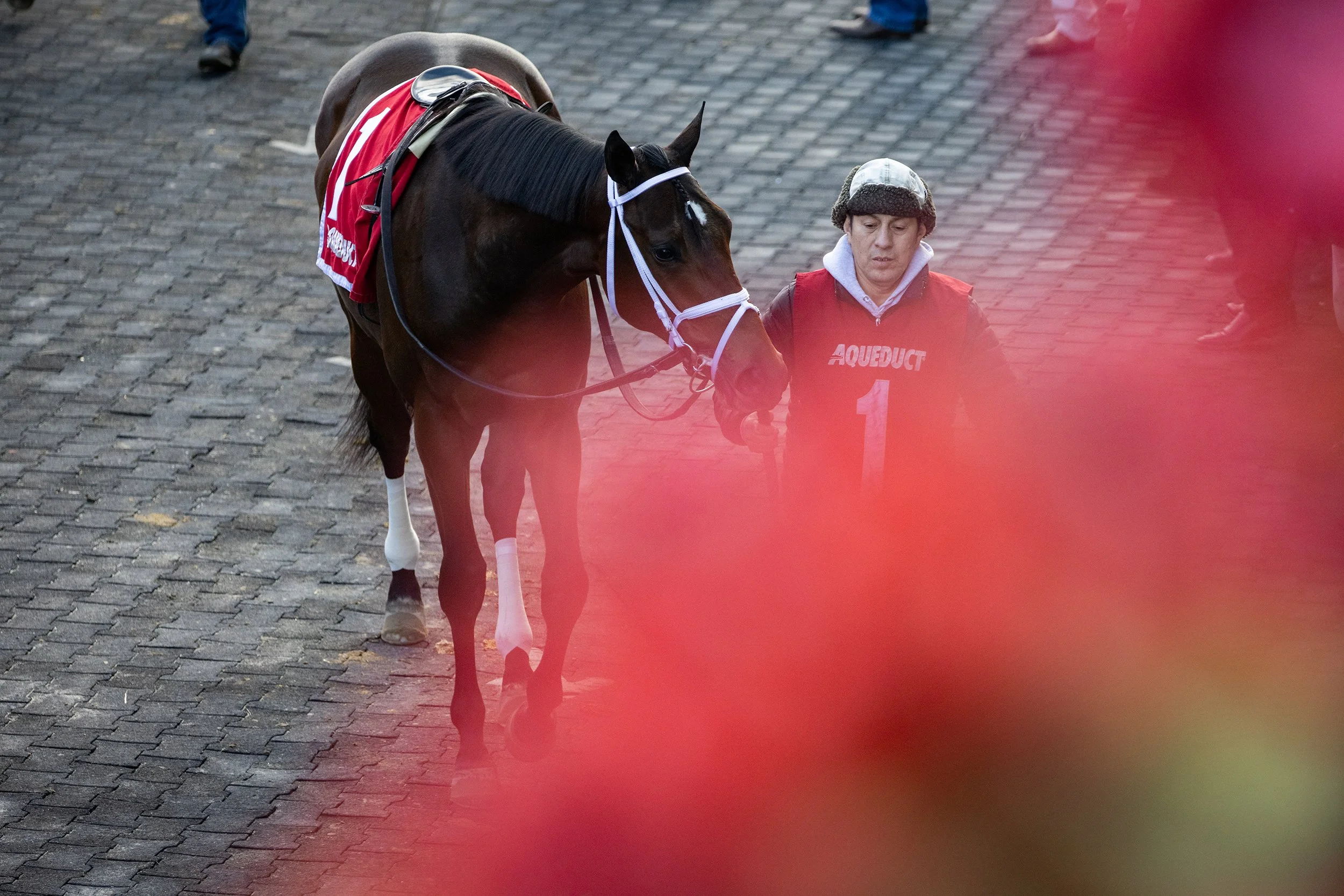 Mo Donegal before the Remsen, 2021