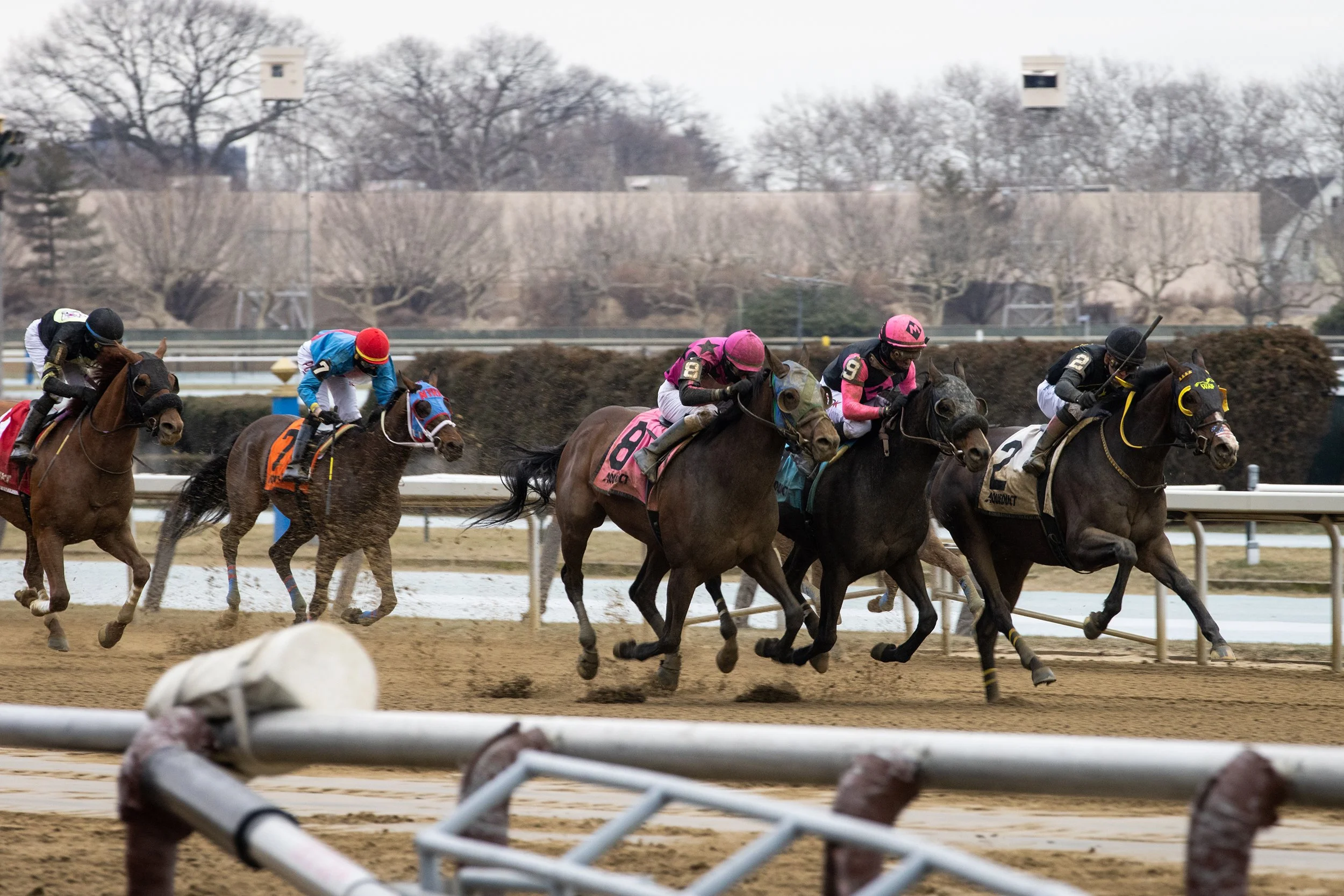 Playwright and Trevor McCarthy win by a nose at Aqueduct, January 2022