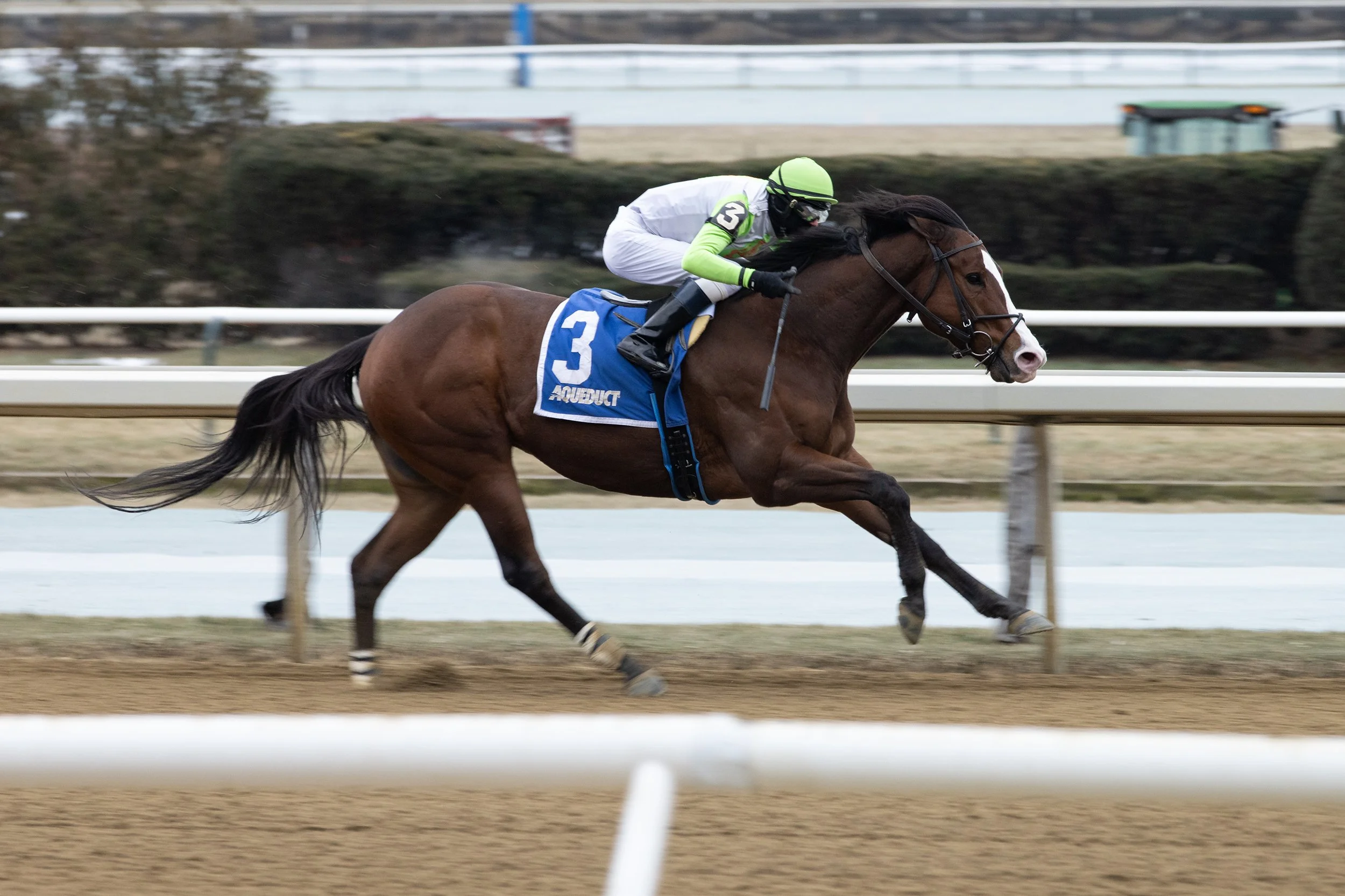 Wudda U ThinkNow and Trevor McCarthy at Aqueduct, January 2022