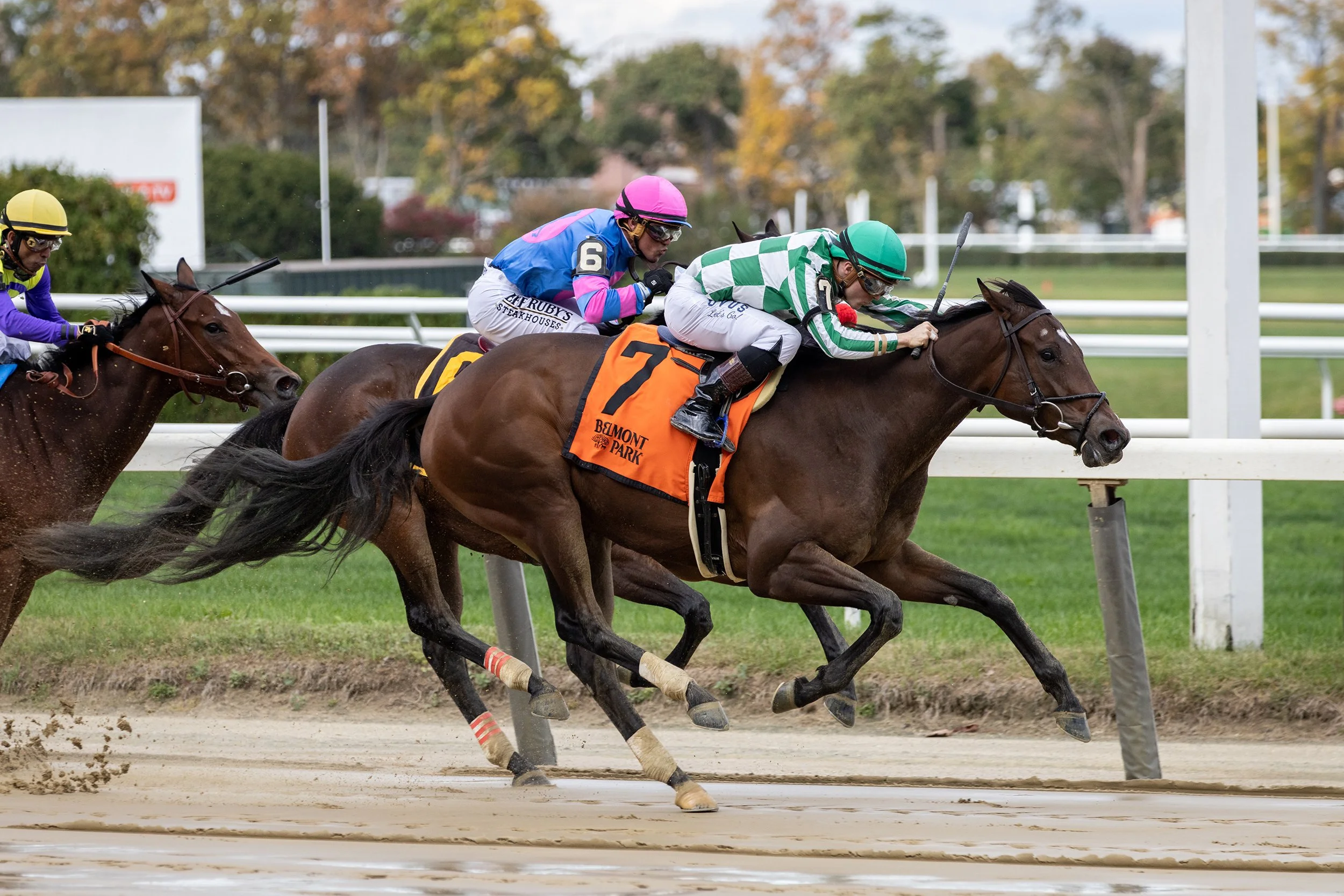 Radio Days winning her debut at Belmont with Dylan Davis up, October 2021