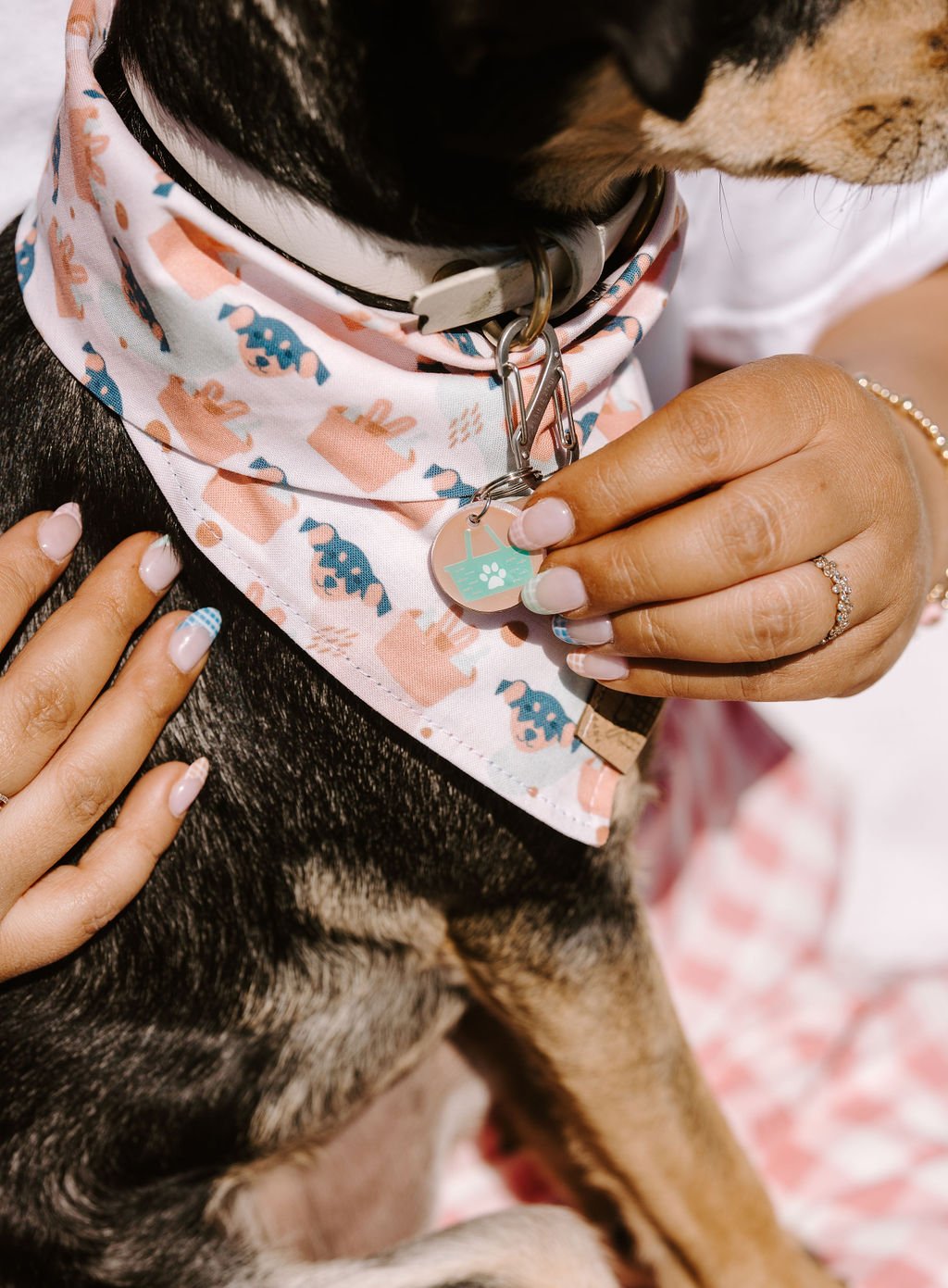 PuppyPicnicCo_Bandana-95.jpg