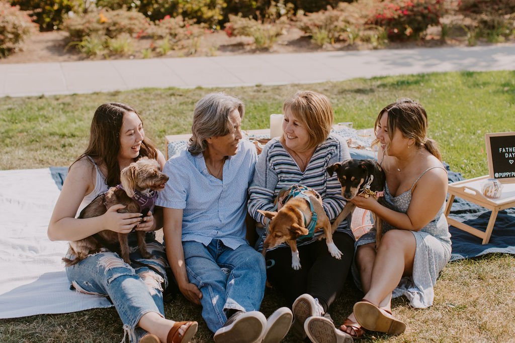 Dog Dad Pupnic | Photo Shoot Session with Erin Wiese