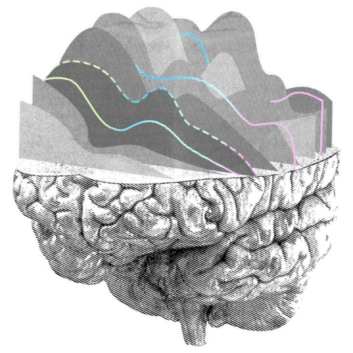 Neuralink — Pioneering Brain Computer Interfaces.jpg