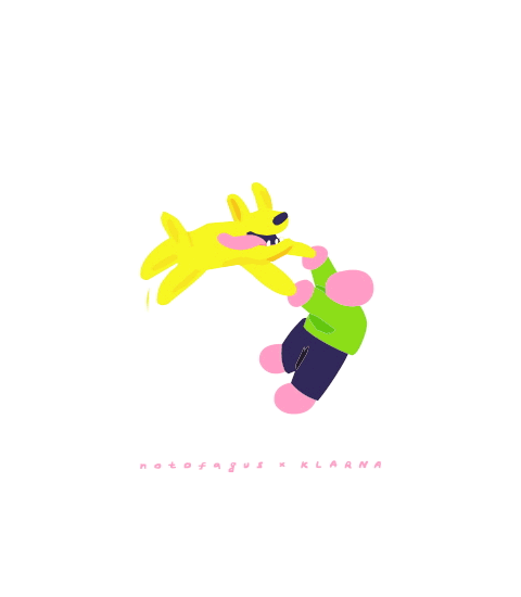 dog loader for klarna