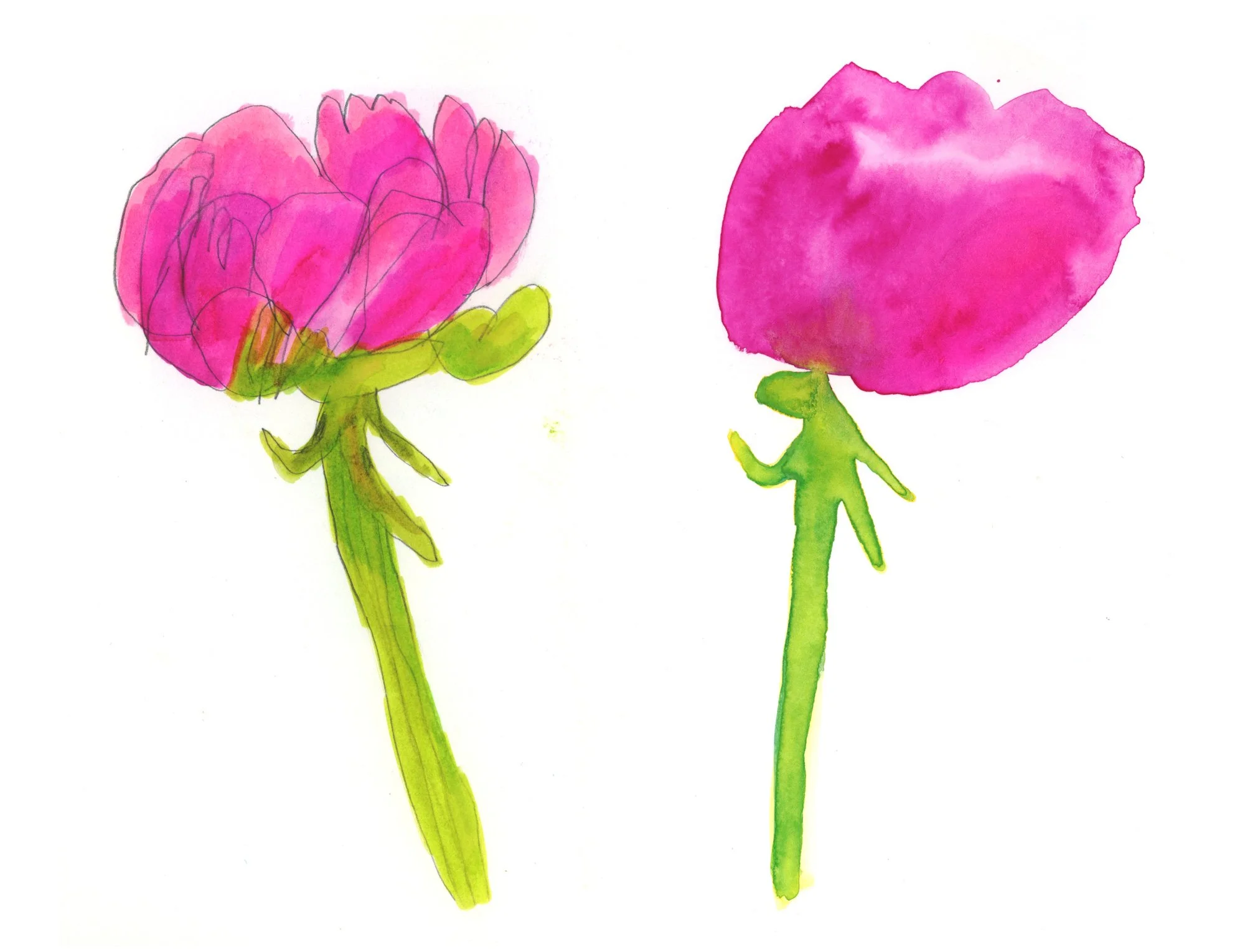 Flower-02.jpg