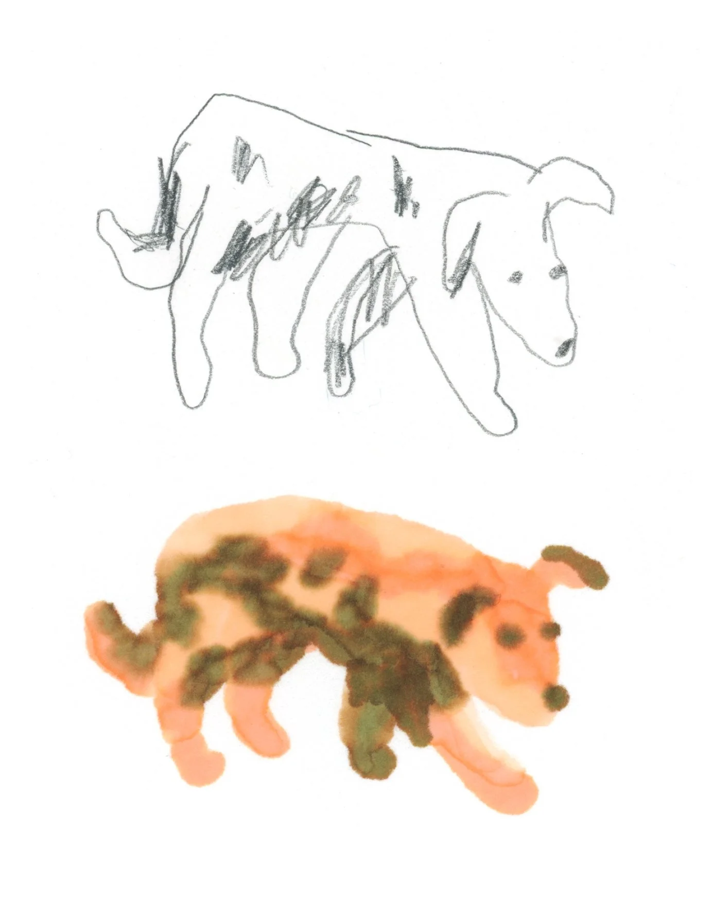 Animal-10.jpg