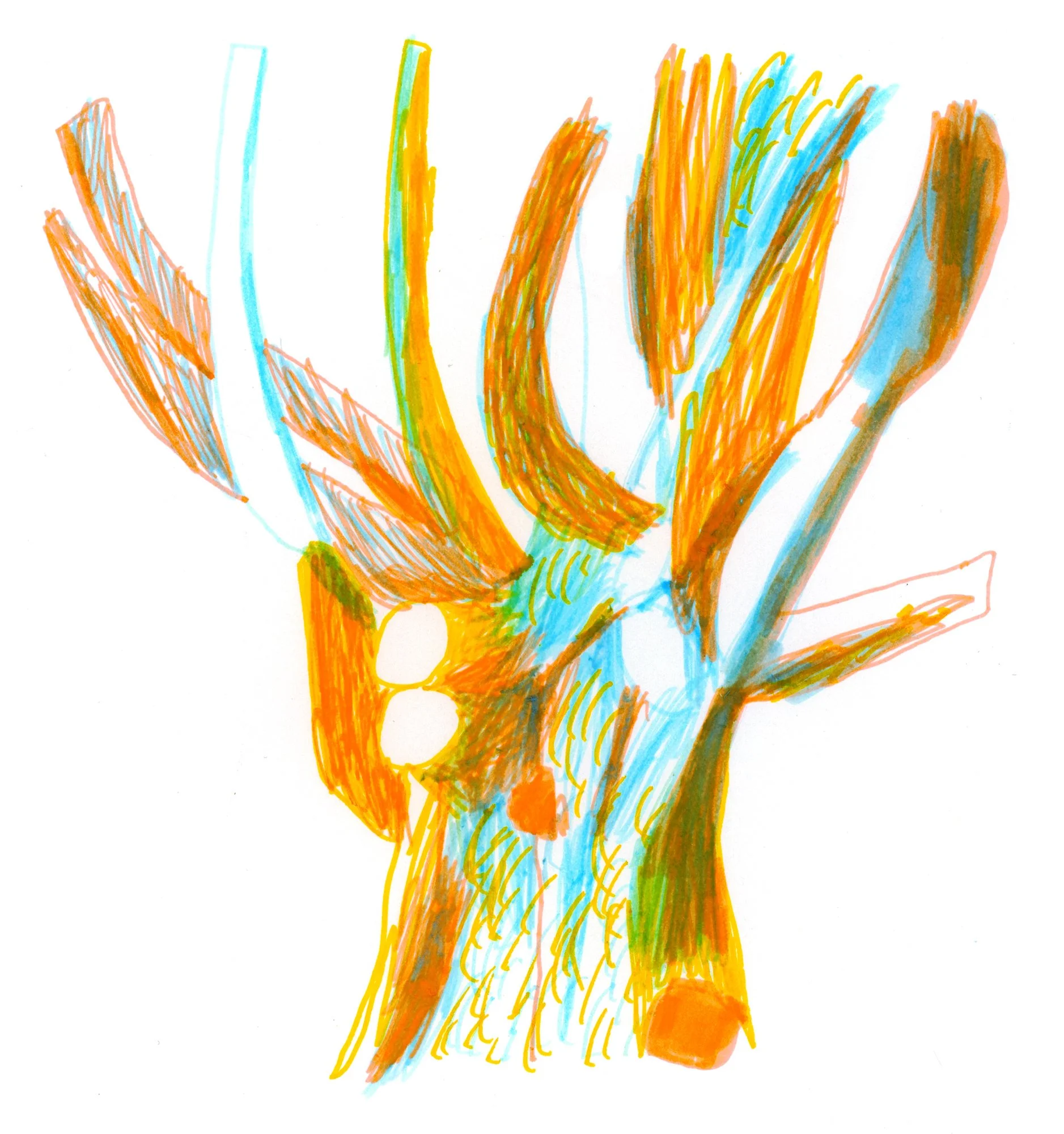 Tree-16.jpg