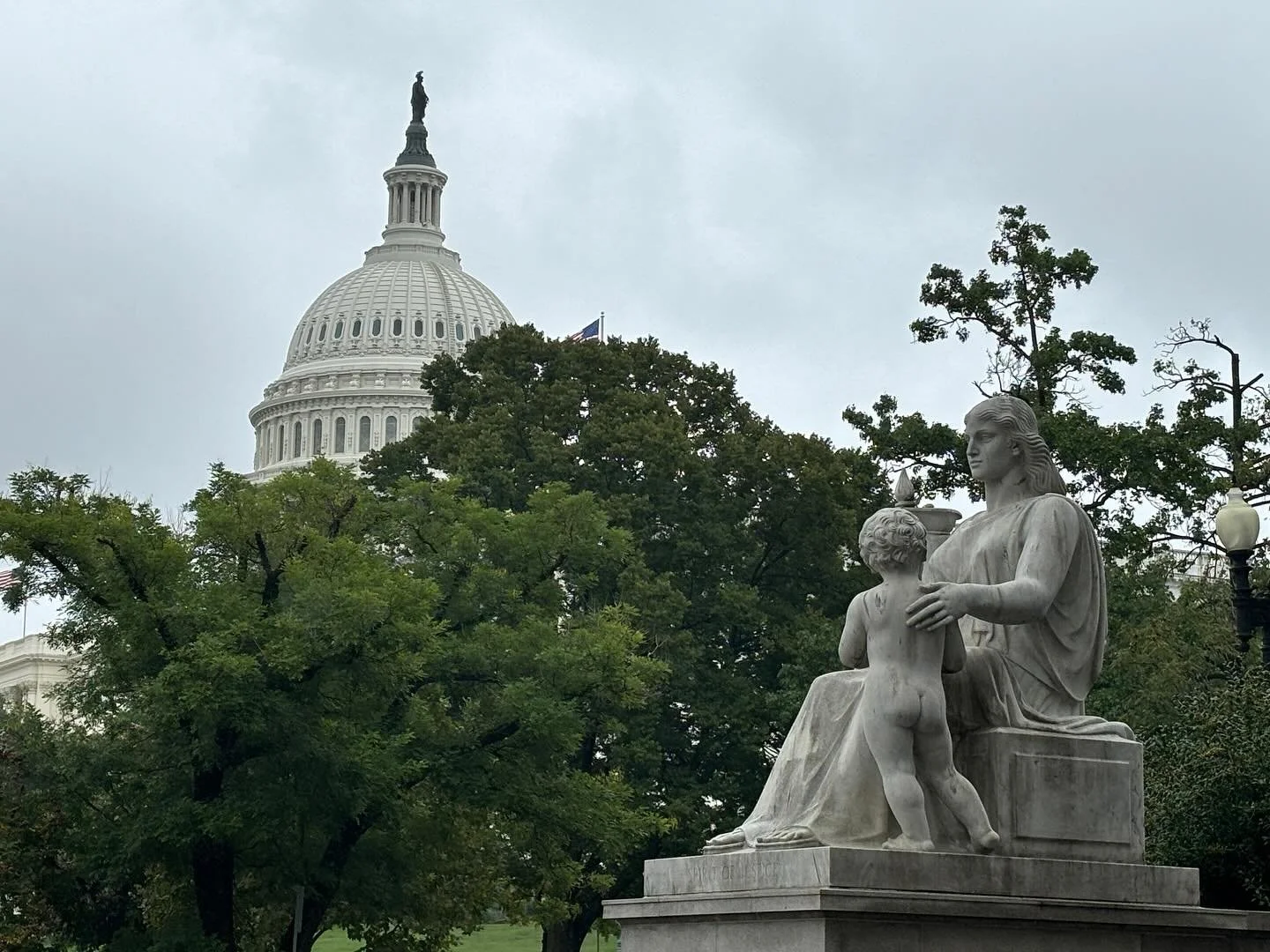 Washington DC and the US Capital Complex space is replete with impressive are architecture that was very carefully curated. I&rsquo;m glad I had a chance to ponder at least a few pieces during our @elizabethdolefoundation Fellows day on the hill. I h
