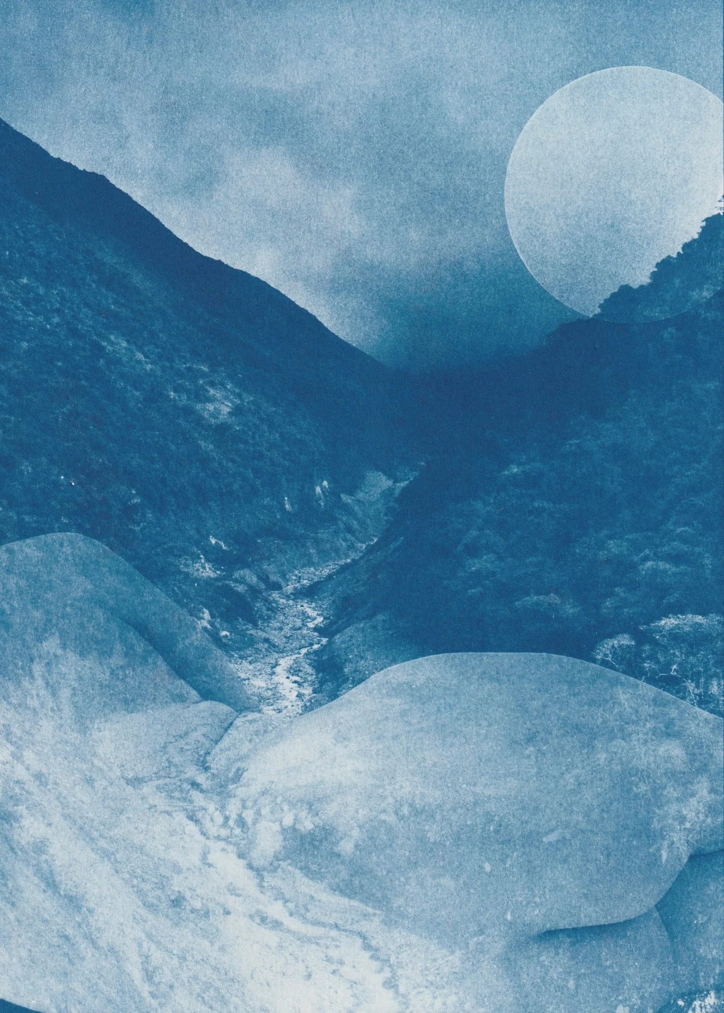 Shallows low res 5.jpg