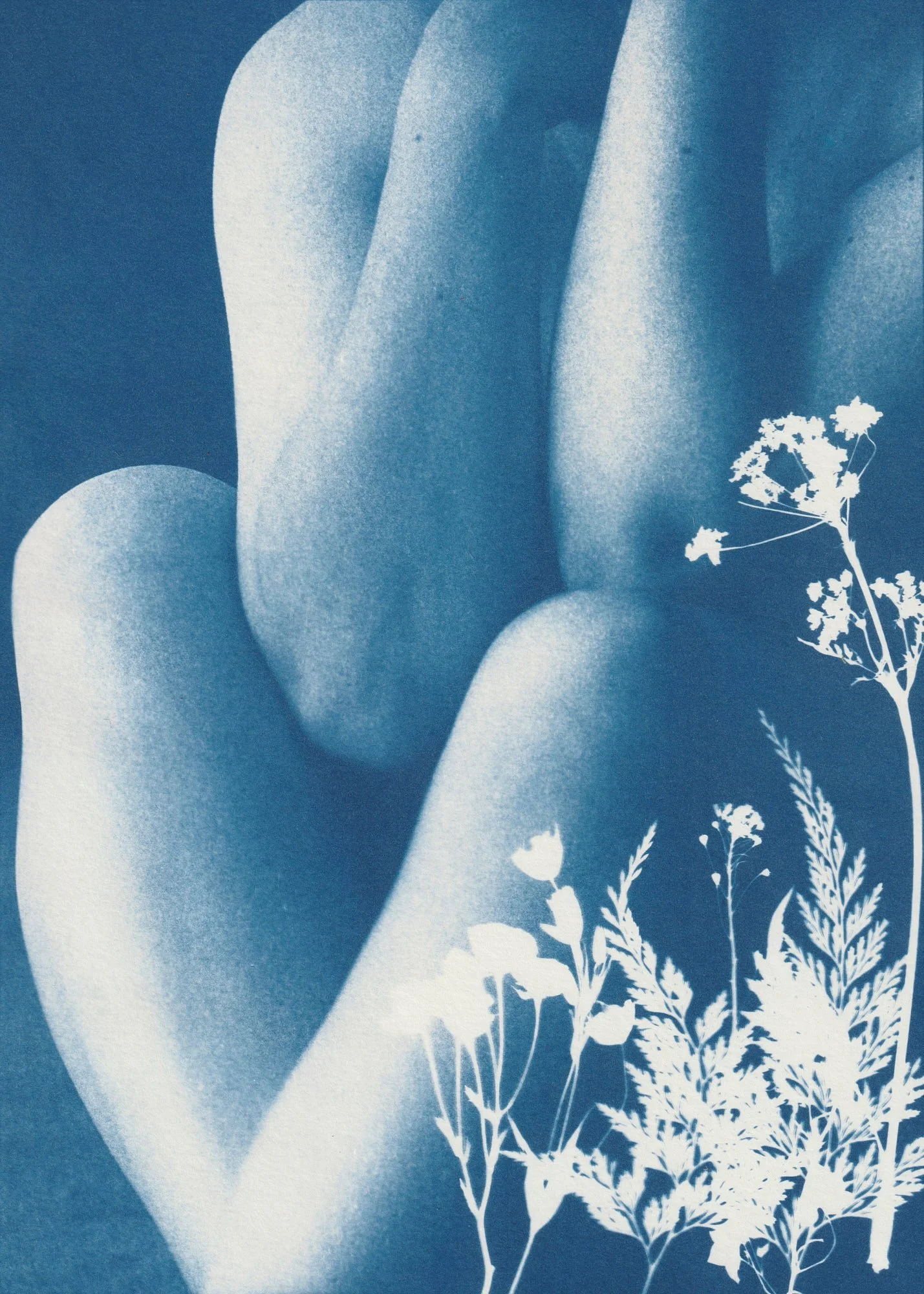 Shallows low res 2.jpg