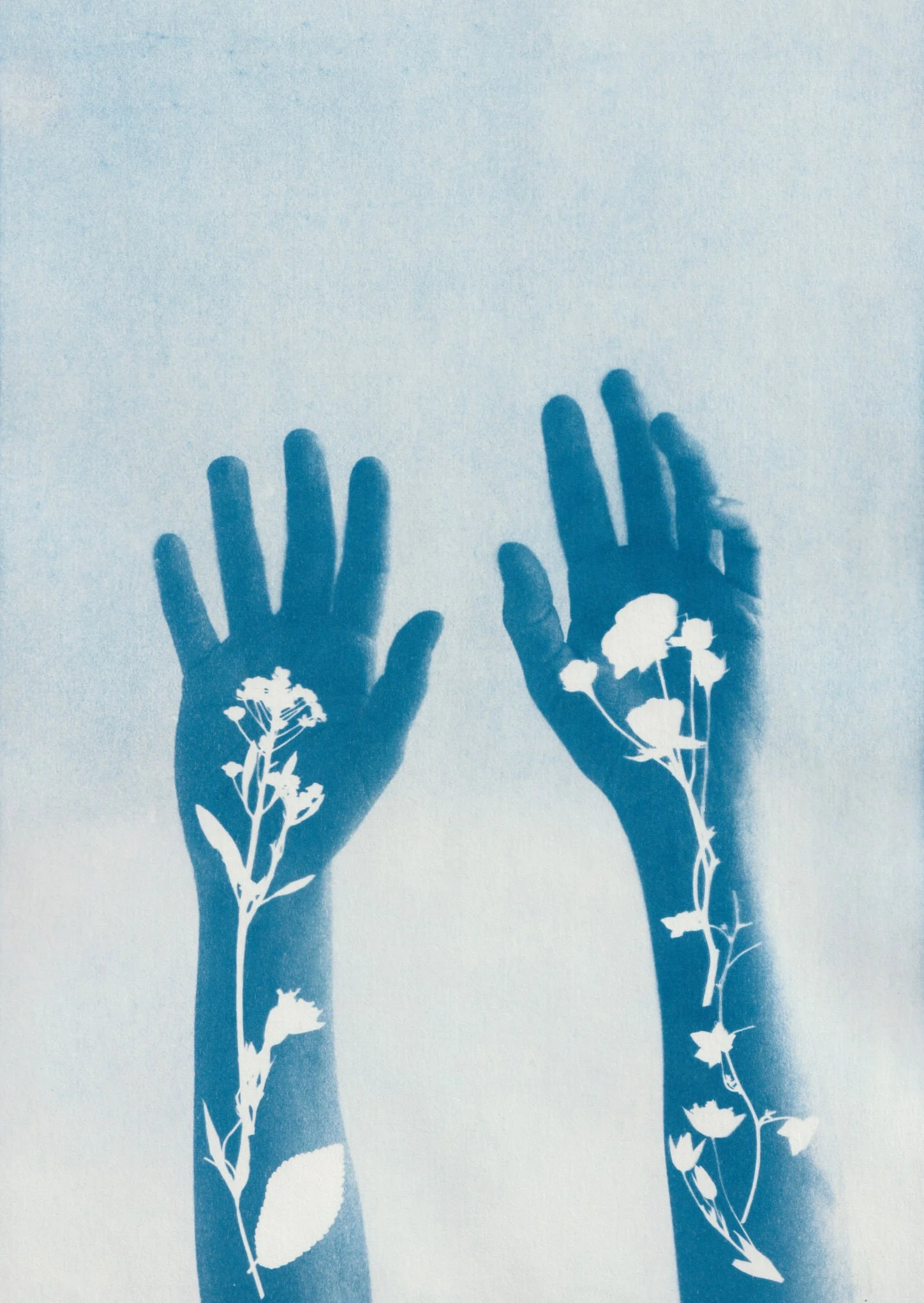 ScanFlower hands 2.jpg